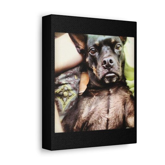 Satin Canvas, Stretched, Top Dog, Monkey Dog, Tough Dog