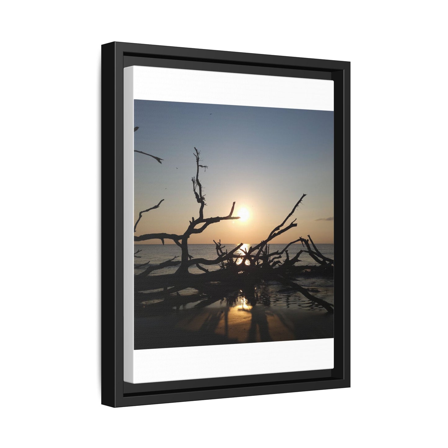 Sunset Driftwood Beach Framed Canvas