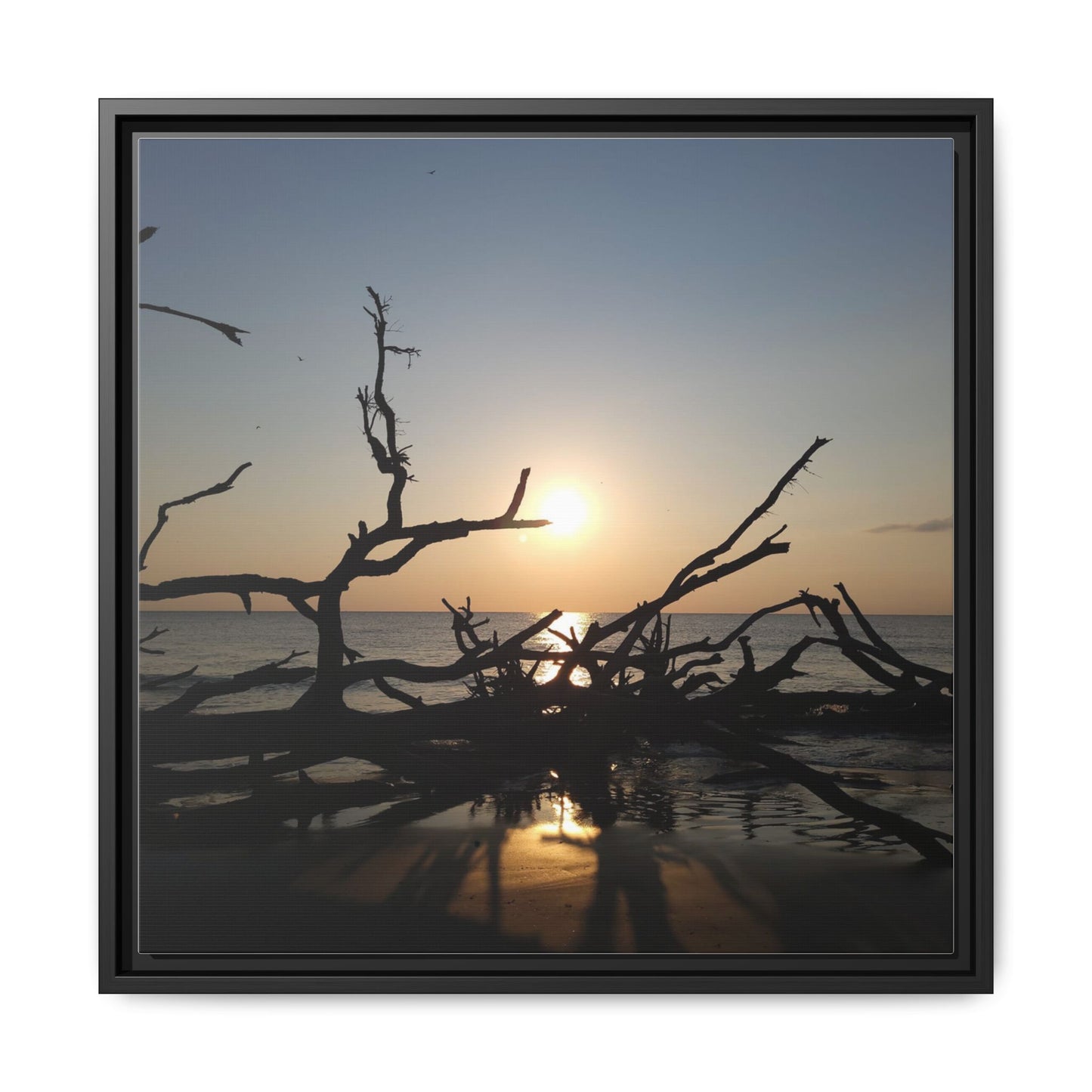 Sunset Driftwood Beach Framed Canvas