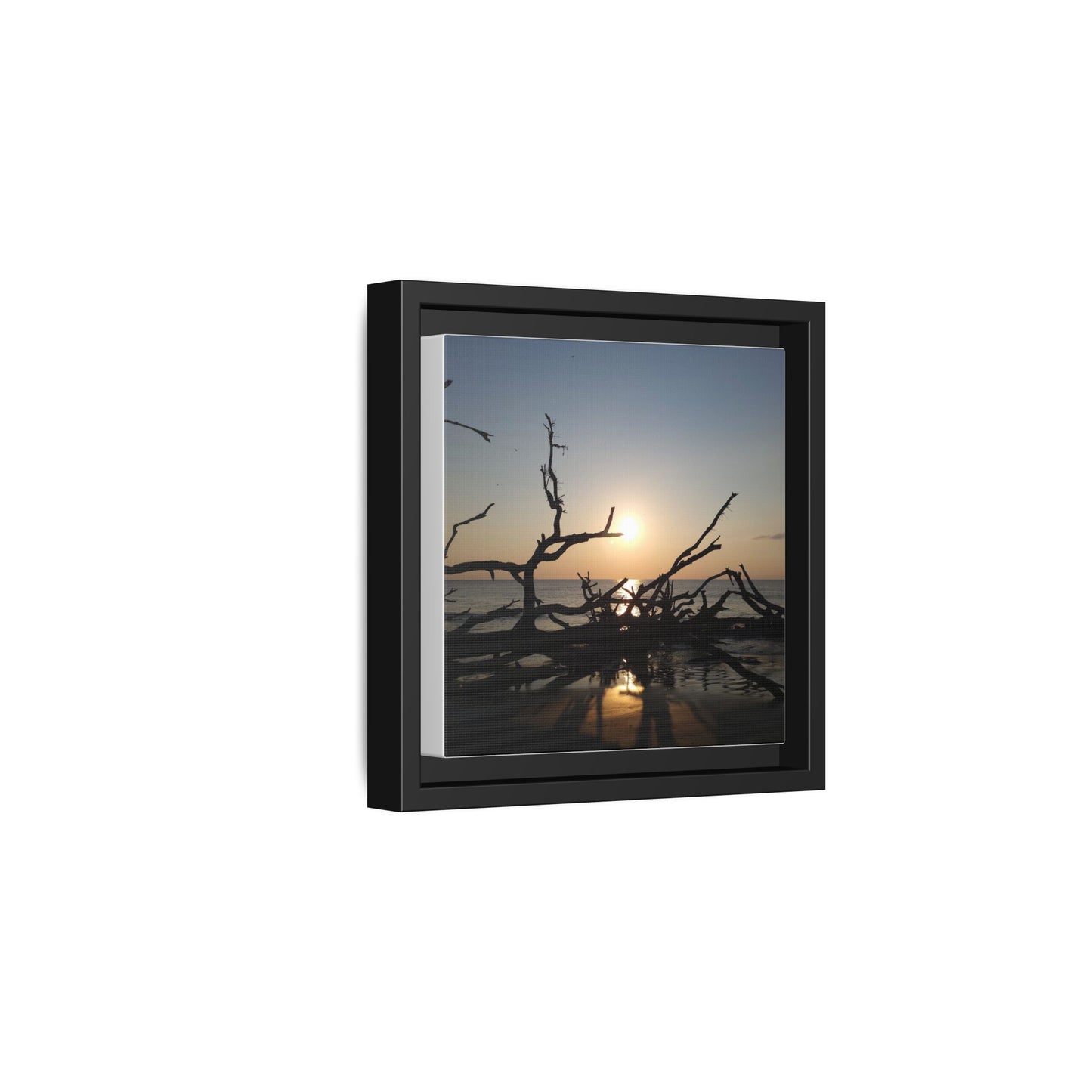 Sunset Driftwood Beach Framed Canvas