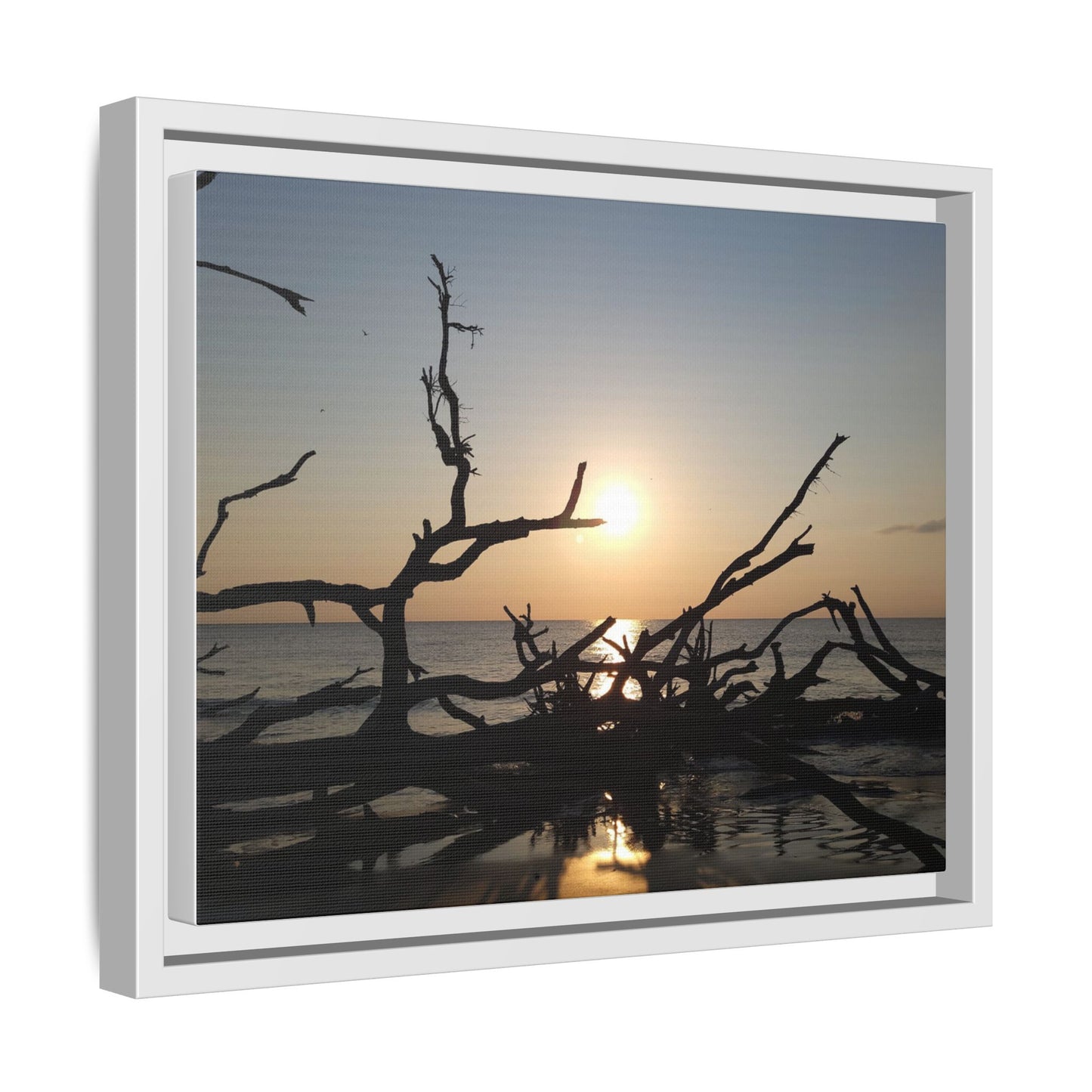 Sunset Driftwood Beach Framed Canvas