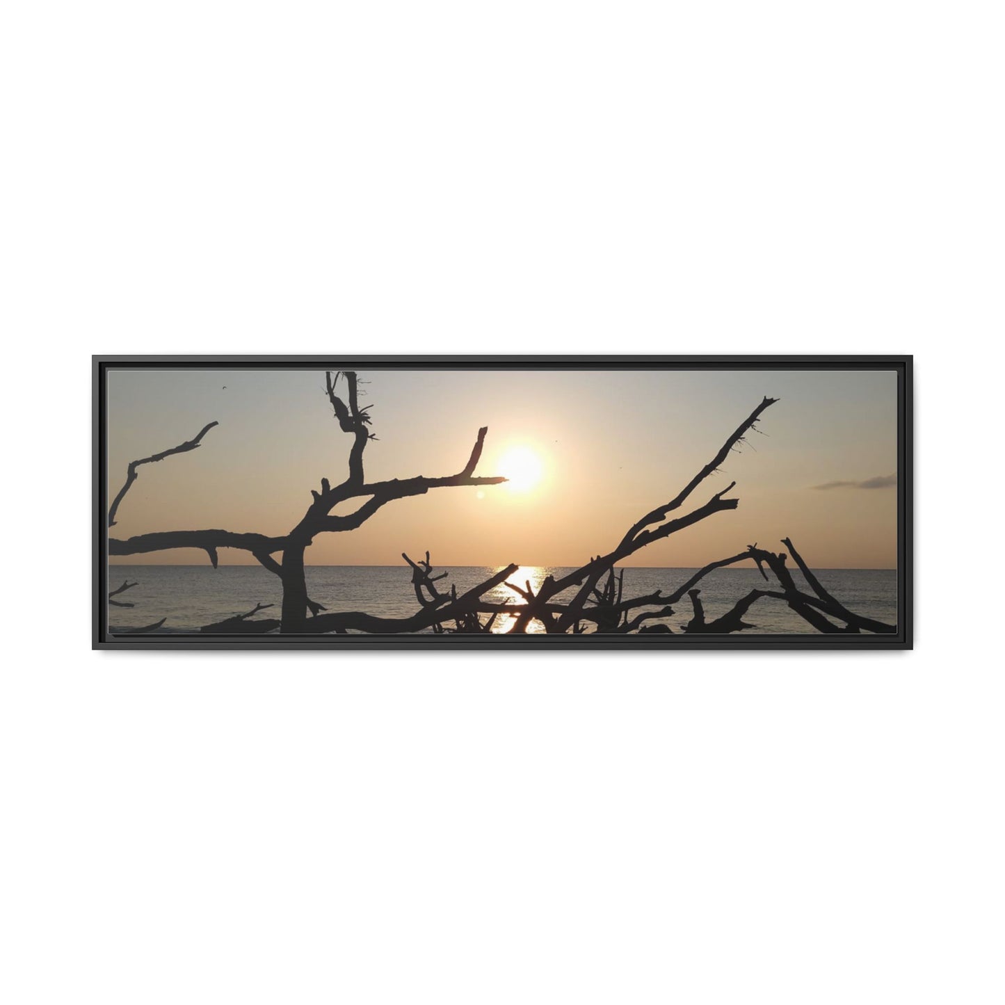 Sunset Driftwood Beach Framed Canvas