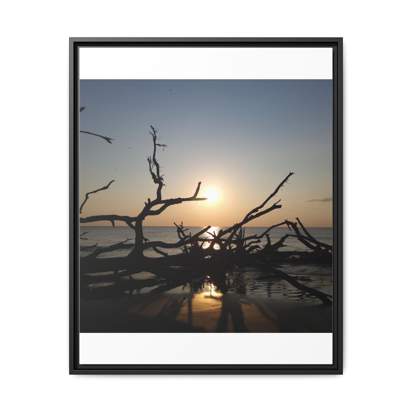 Sunset Driftwood Beach Framed Canvas