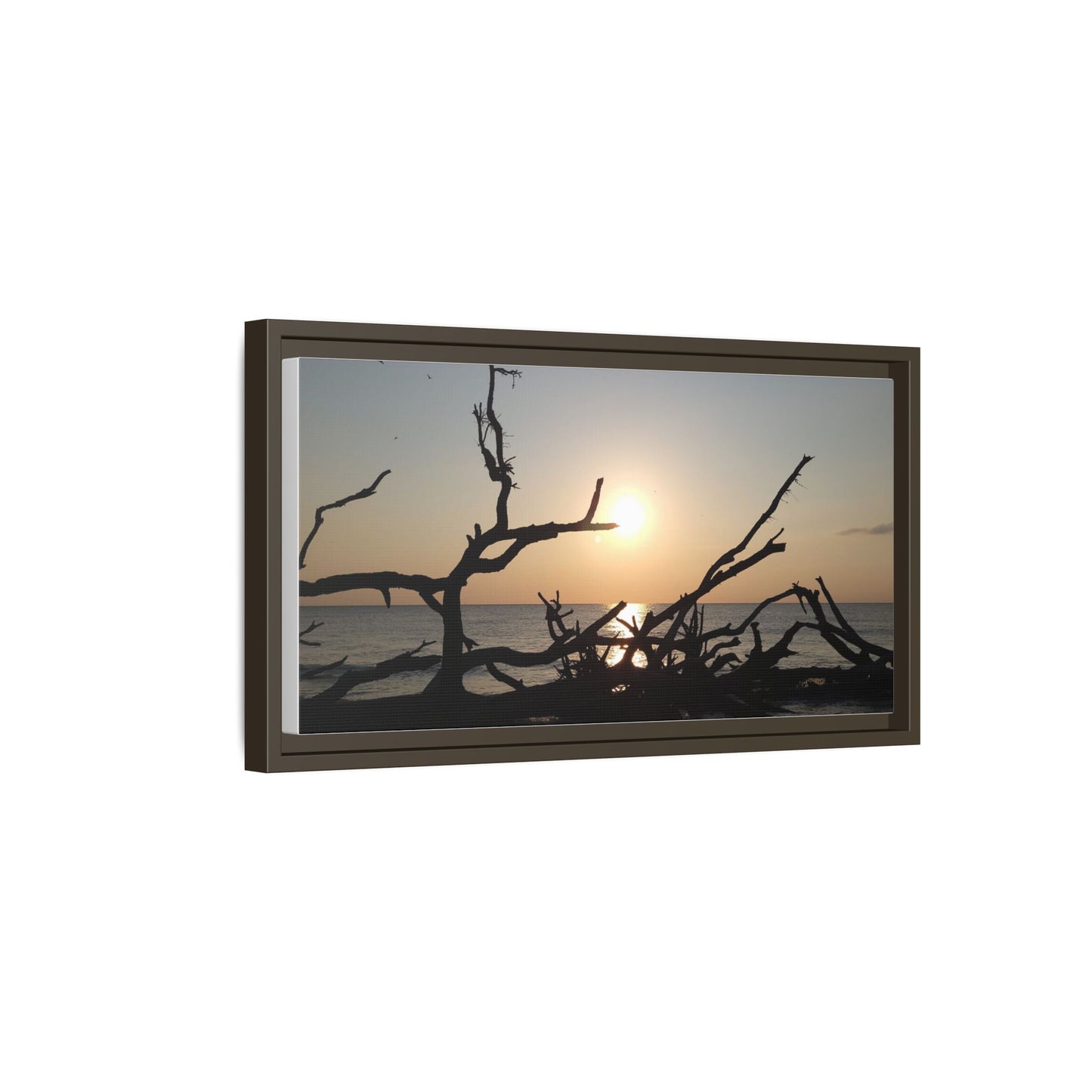 Sunset Driftwood Beach Framed Canvas
