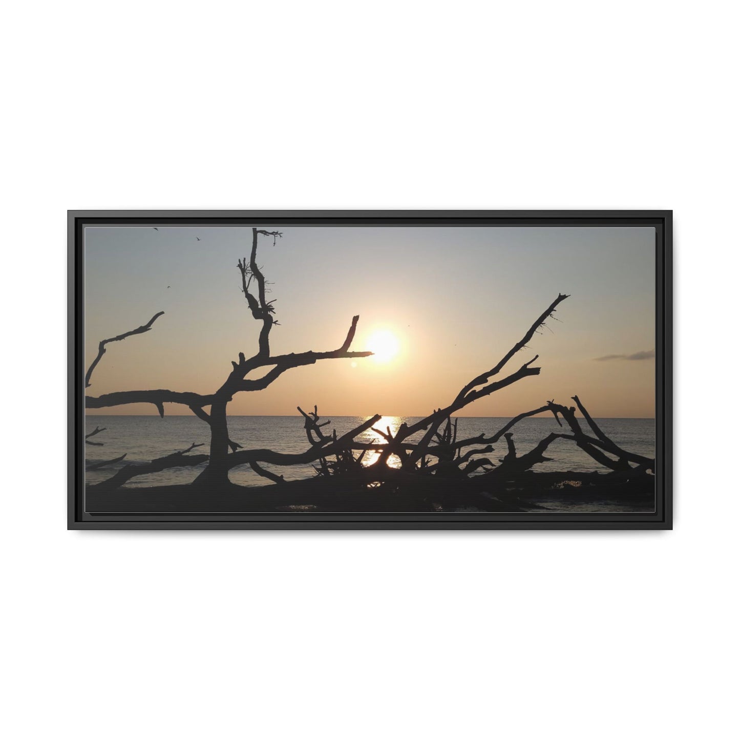 Sunset Driftwood Beach Framed Canvas