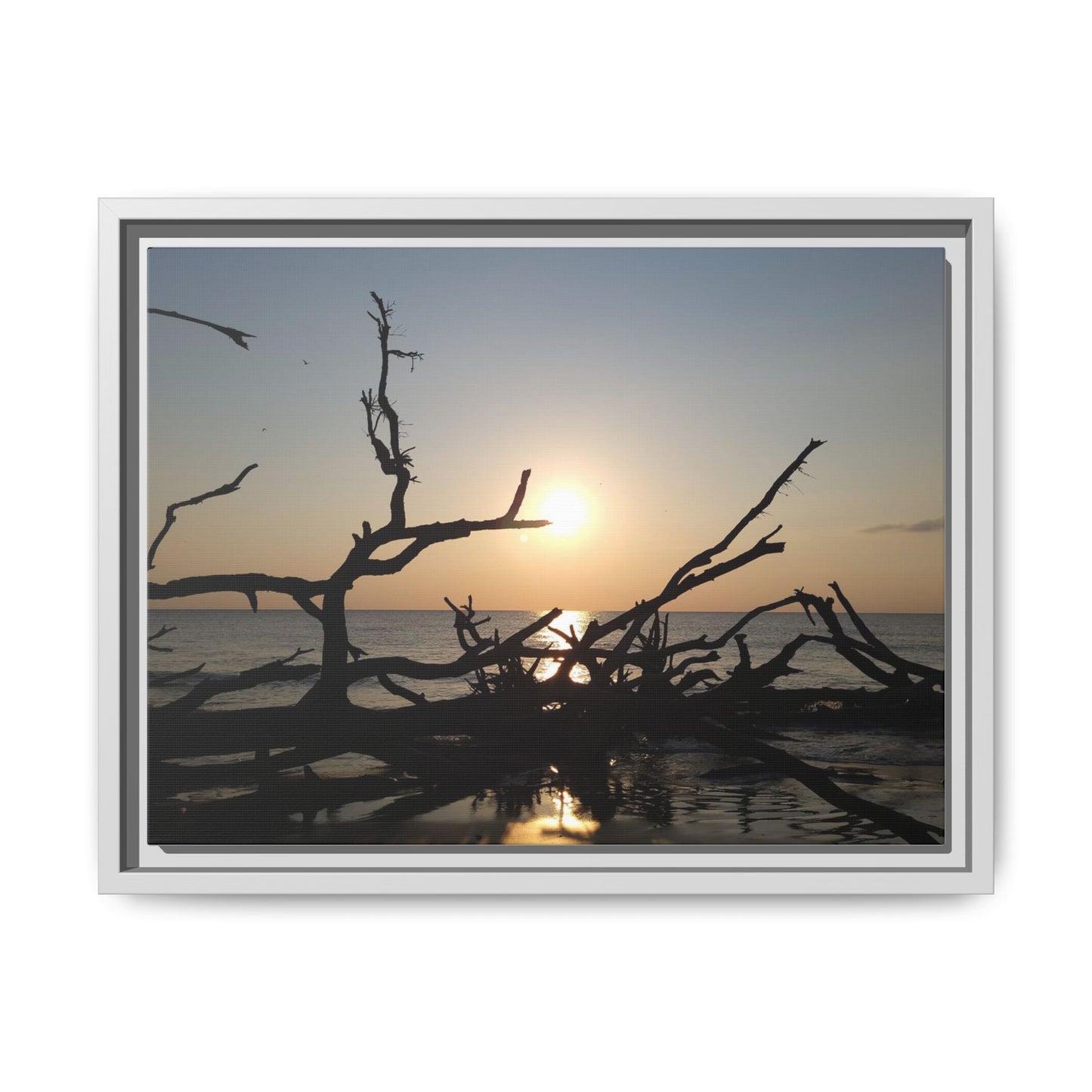 Sunset Driftwood Beach Framed Canvas