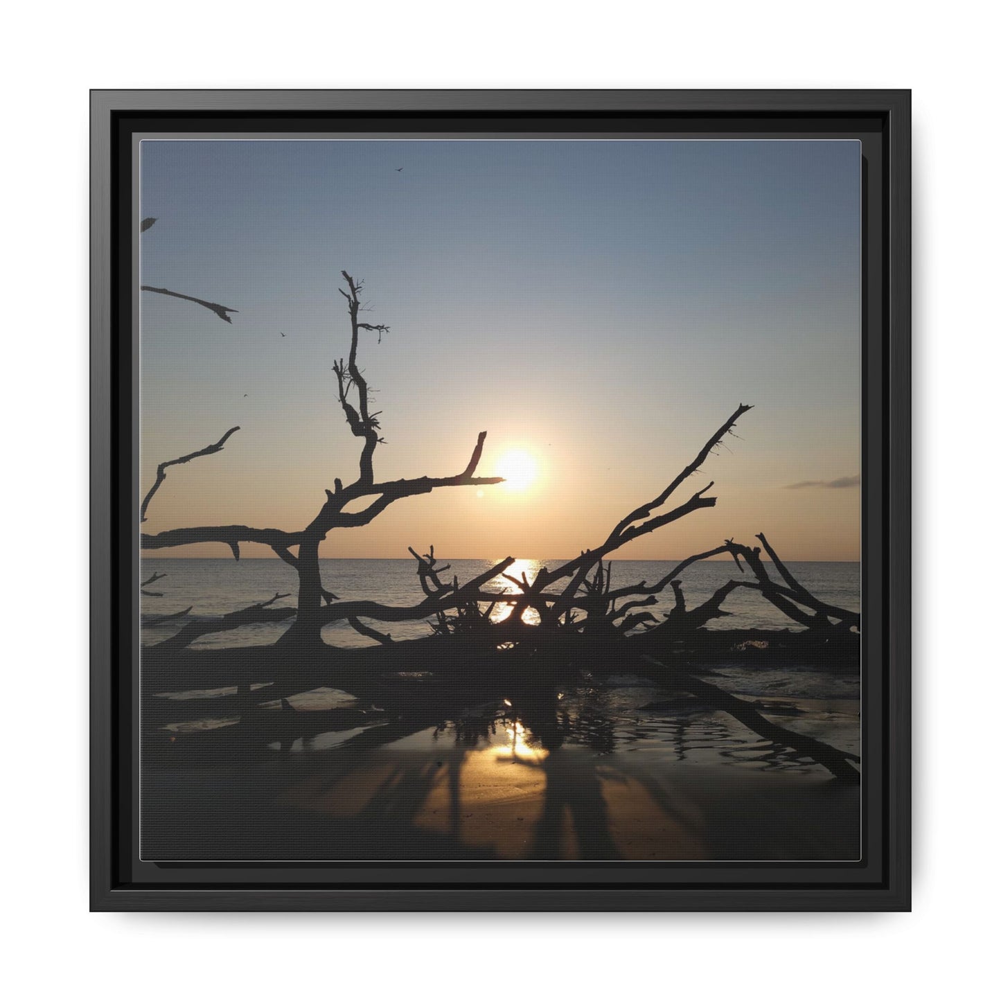 Sunset Driftwood Beach Framed Canvas