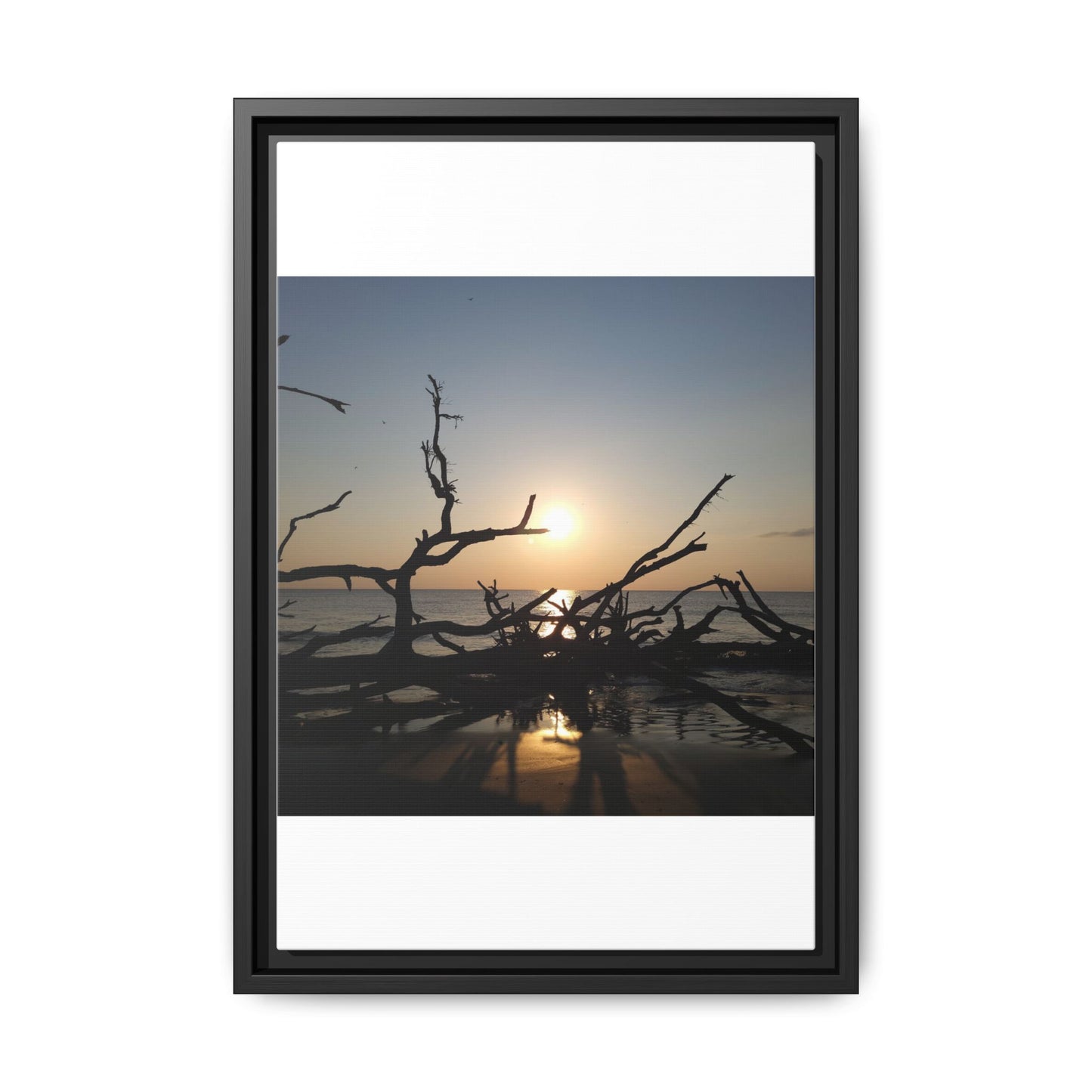 Sunset Driftwood Beach Framed Canvas