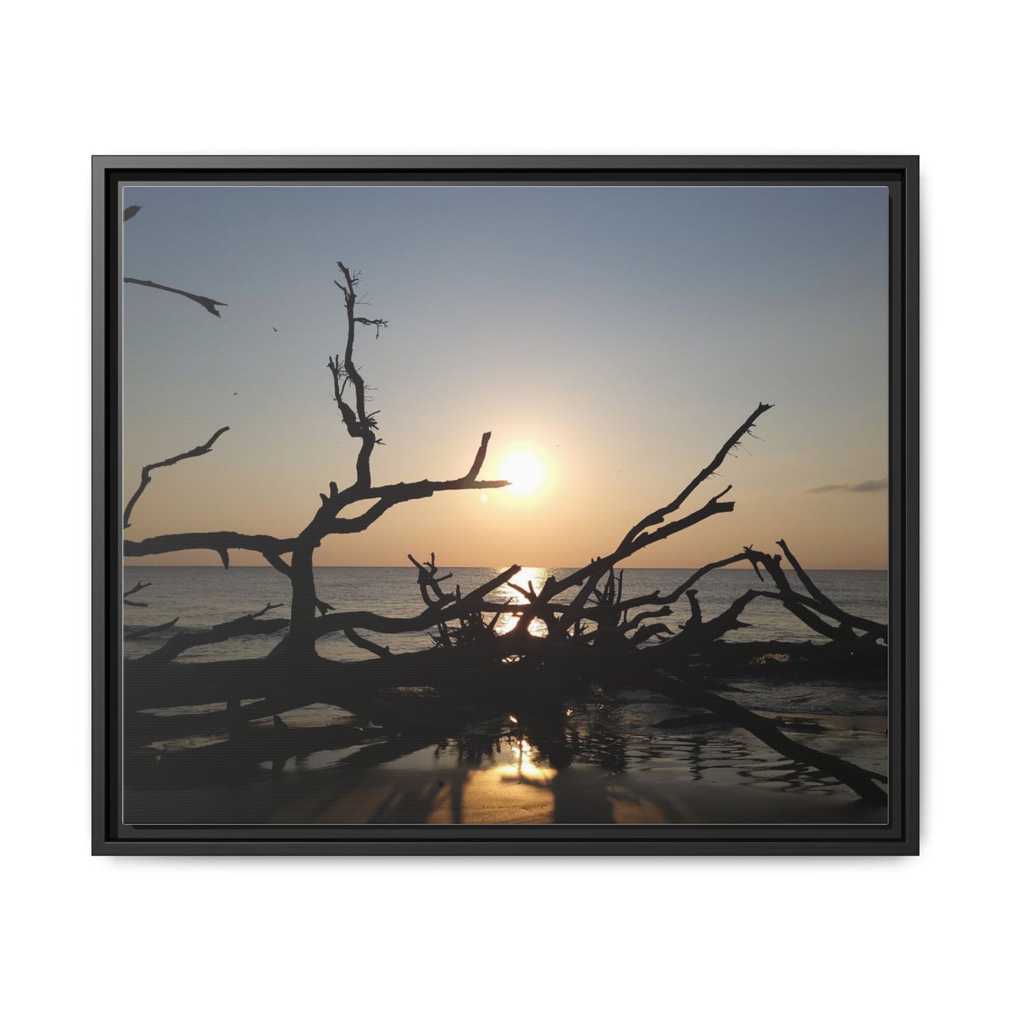 Sunset Driftwood Beach Framed Canvas