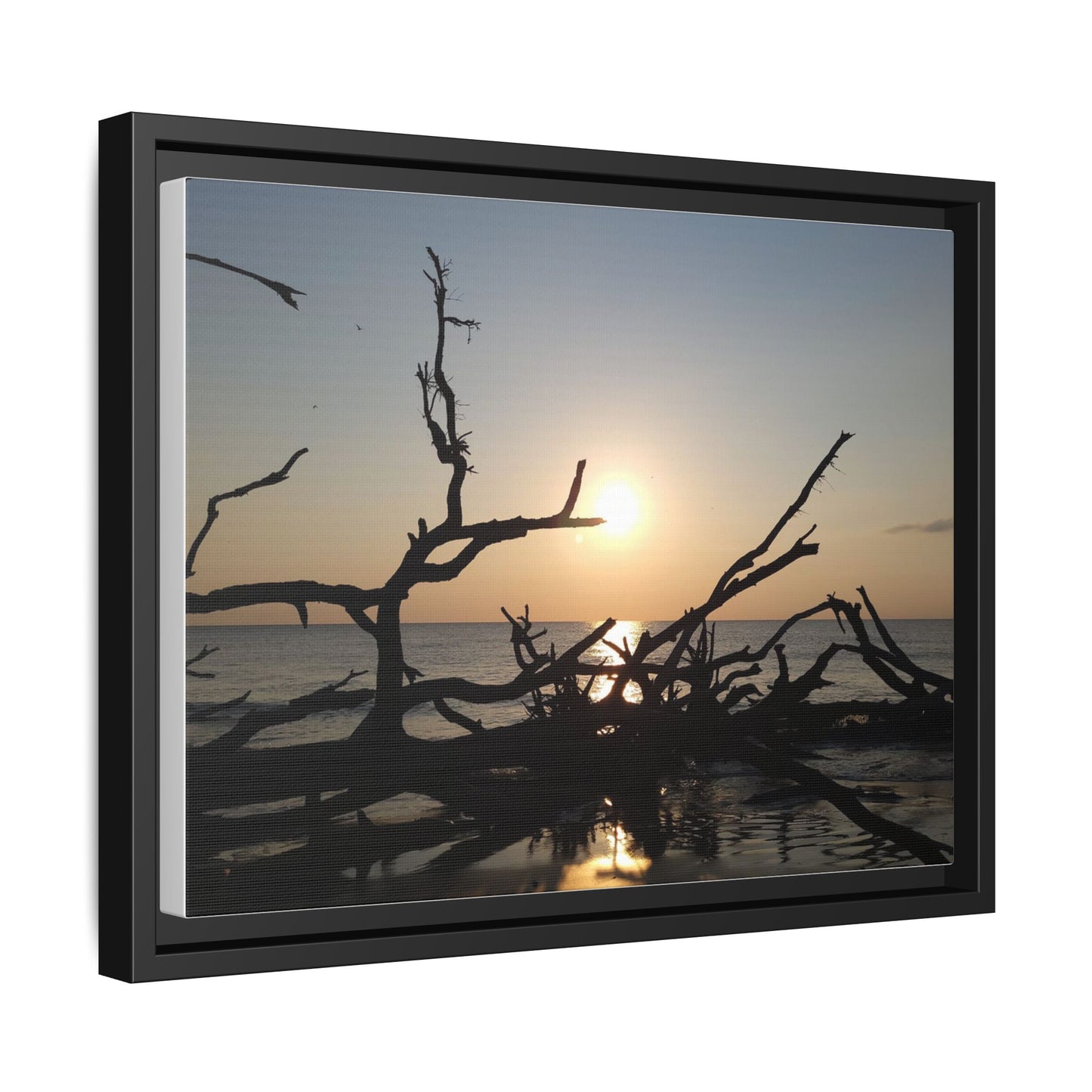 Sunset Driftwood Beach Framed Canvas