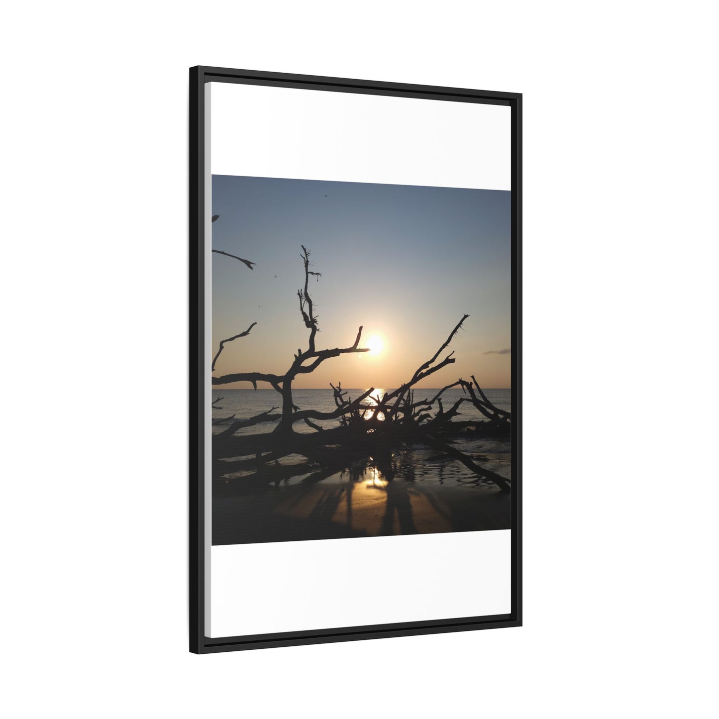 Sunset Driftwood Beach Framed Canvas