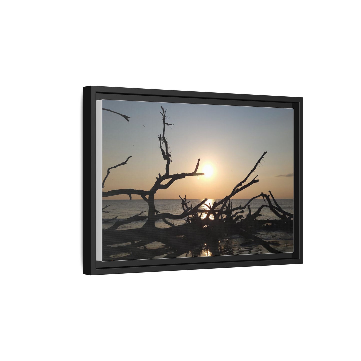 Sunset Driftwood Beach Framed Canvas