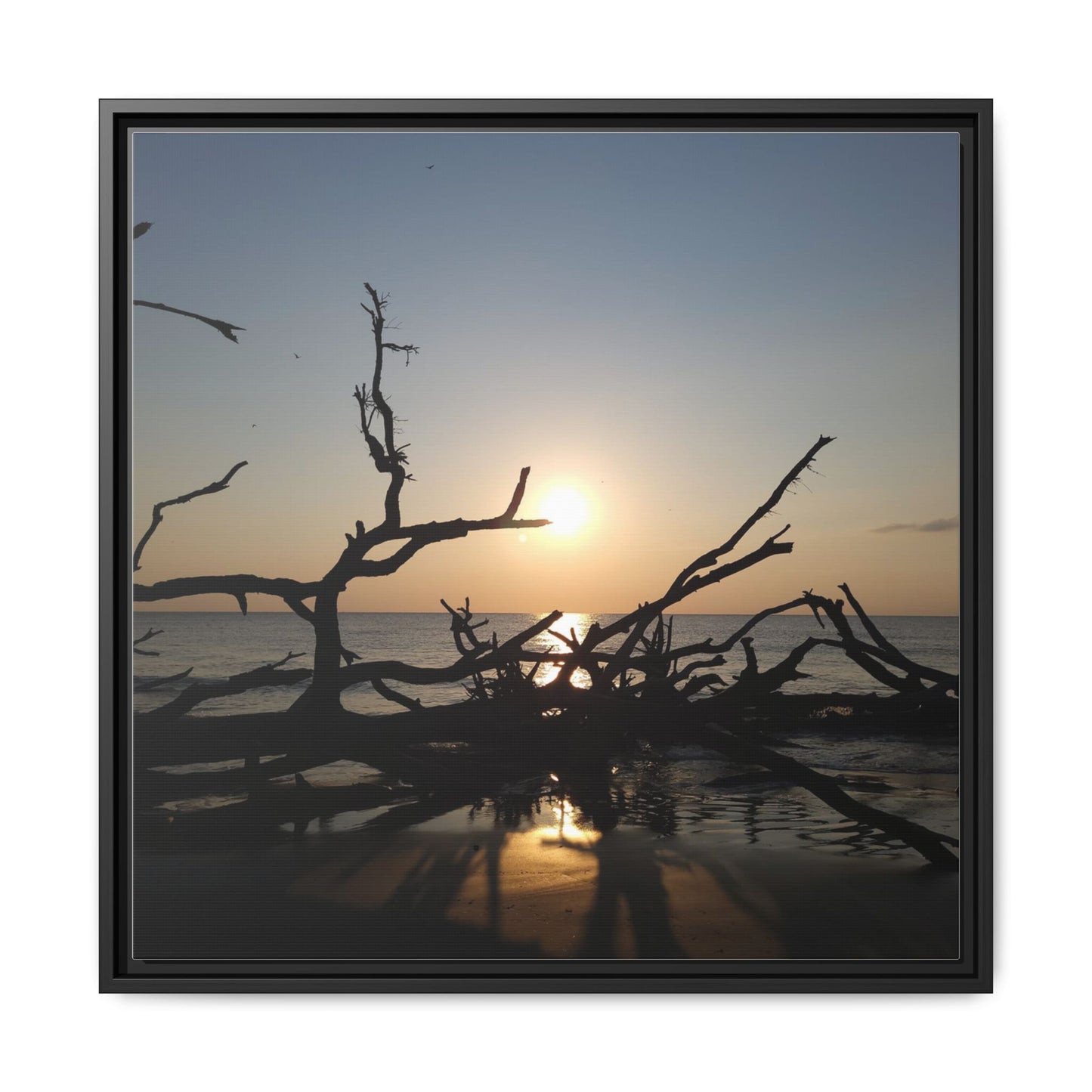 Sunset Driftwood Beach Framed Canvas