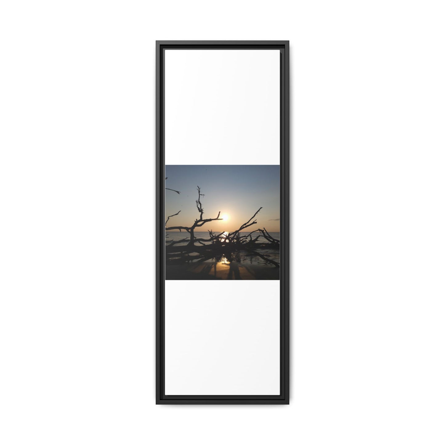 Sunset Driftwood Beach Framed Canvas