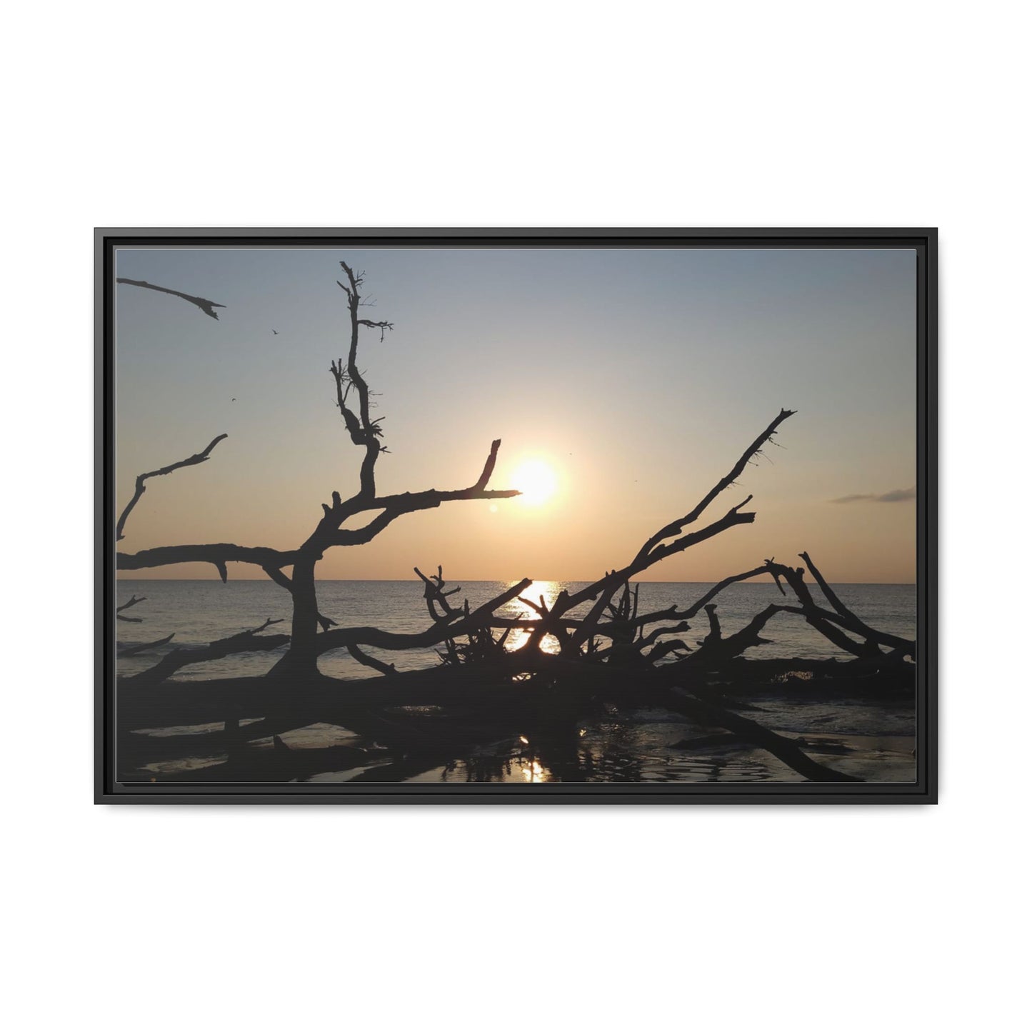 Sunset Driftwood Beach Framed Canvas