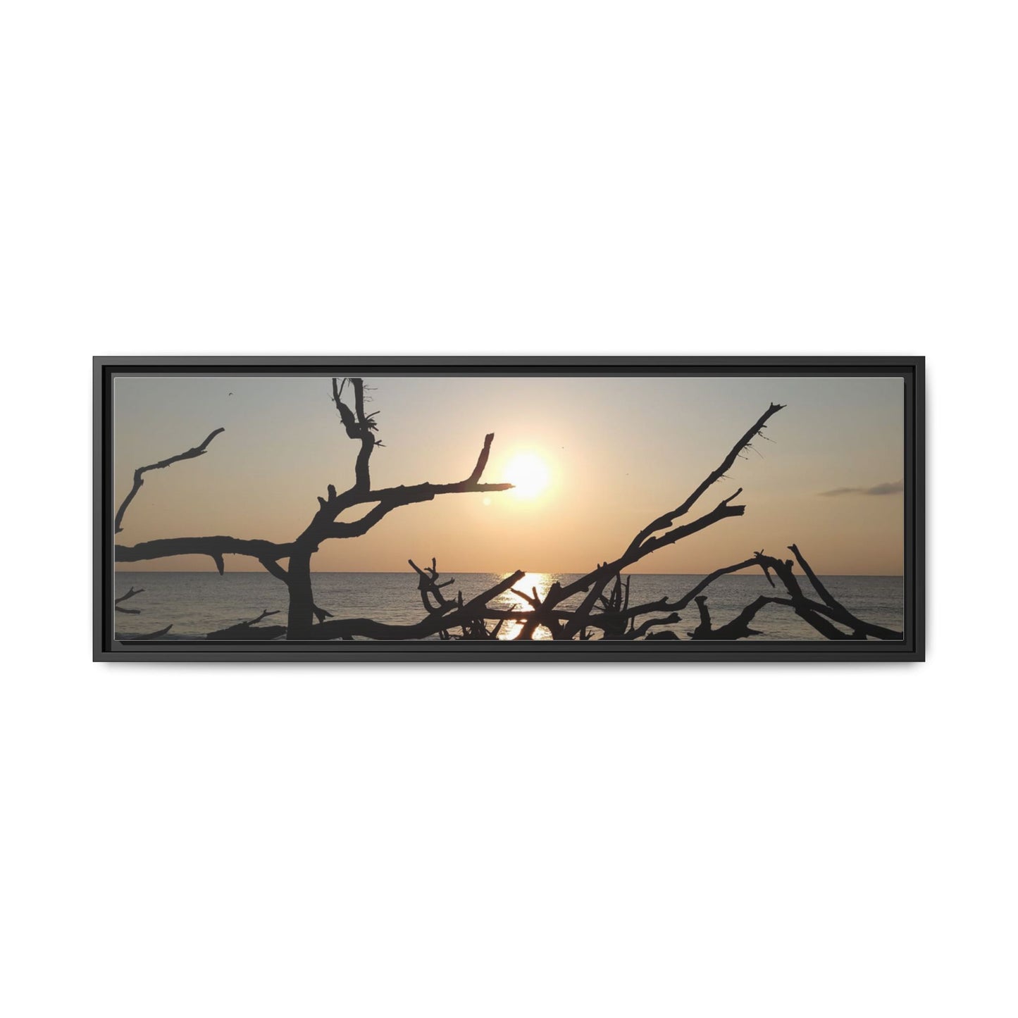 Sunset Driftwood Beach Framed Canvas