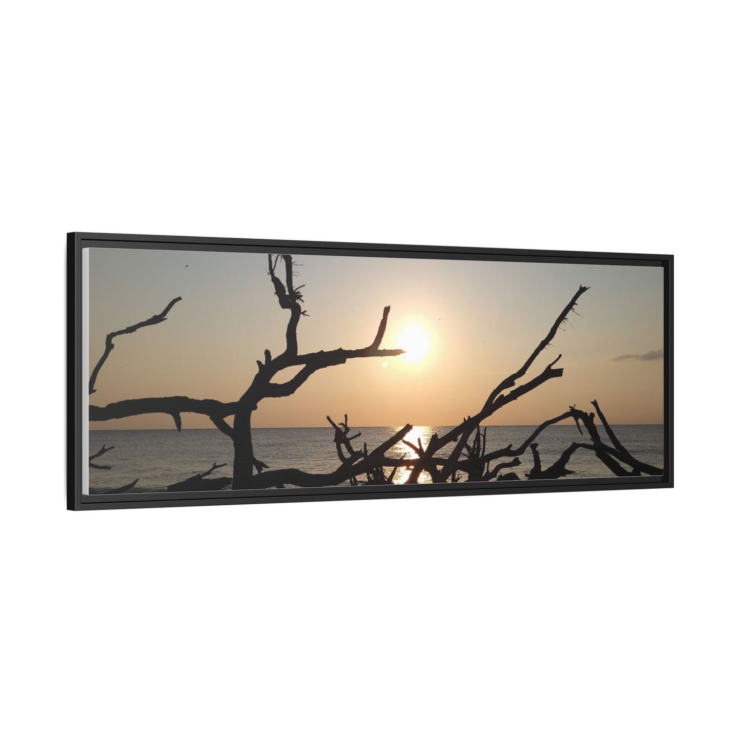 Sunset Driftwood Beach Framed Canvas