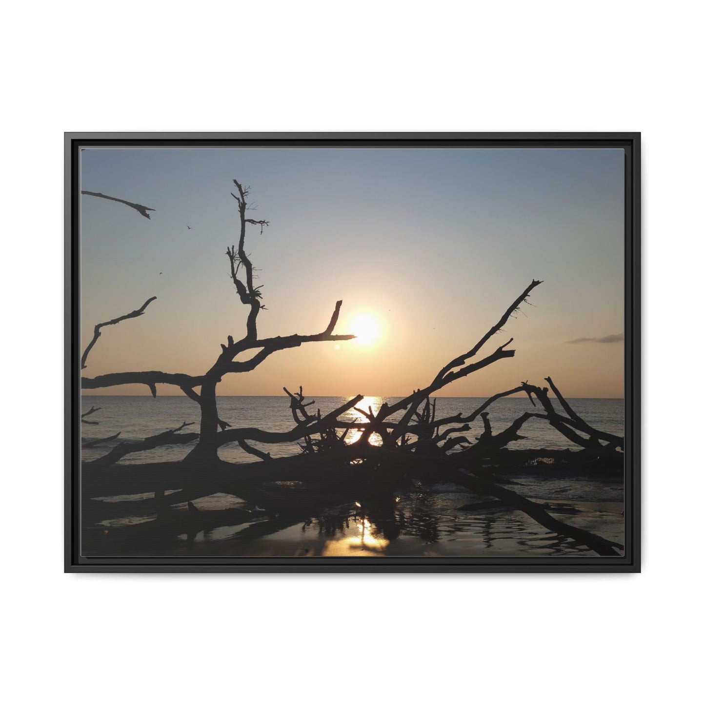 Sunset Driftwood Beach Framed Canvas