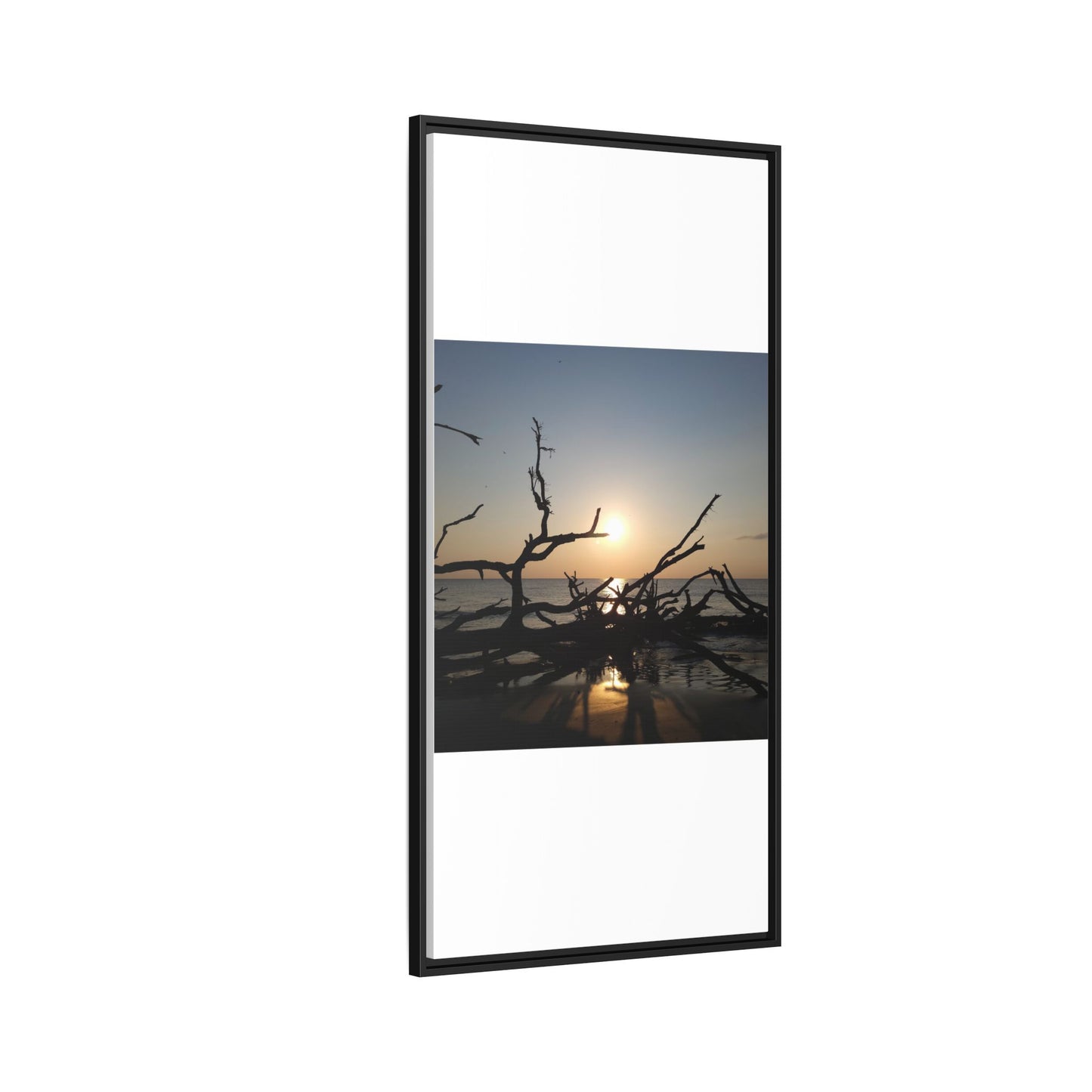 Sunset Driftwood Beach Framed Canvas