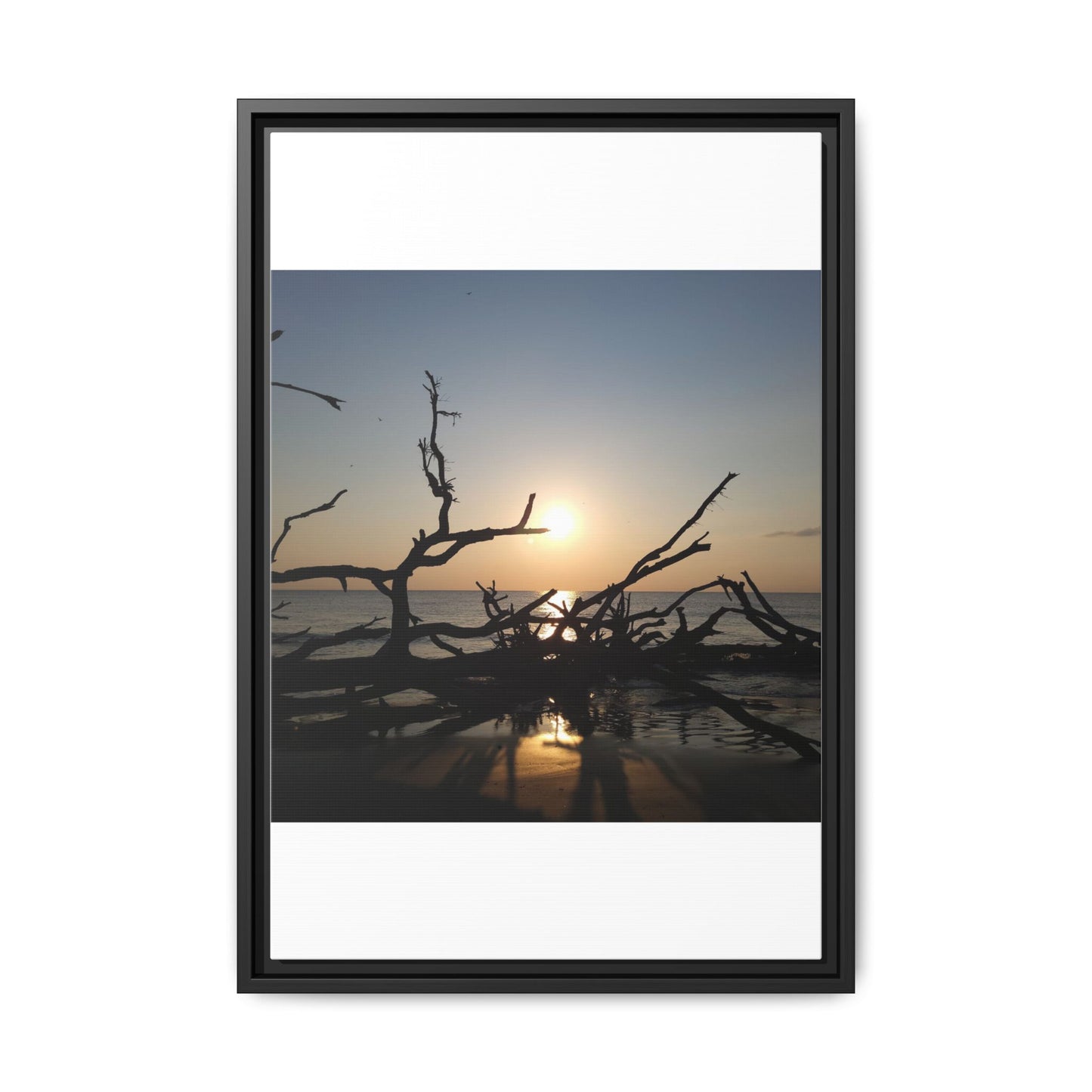 Sunset Driftwood Beach Framed Canvas