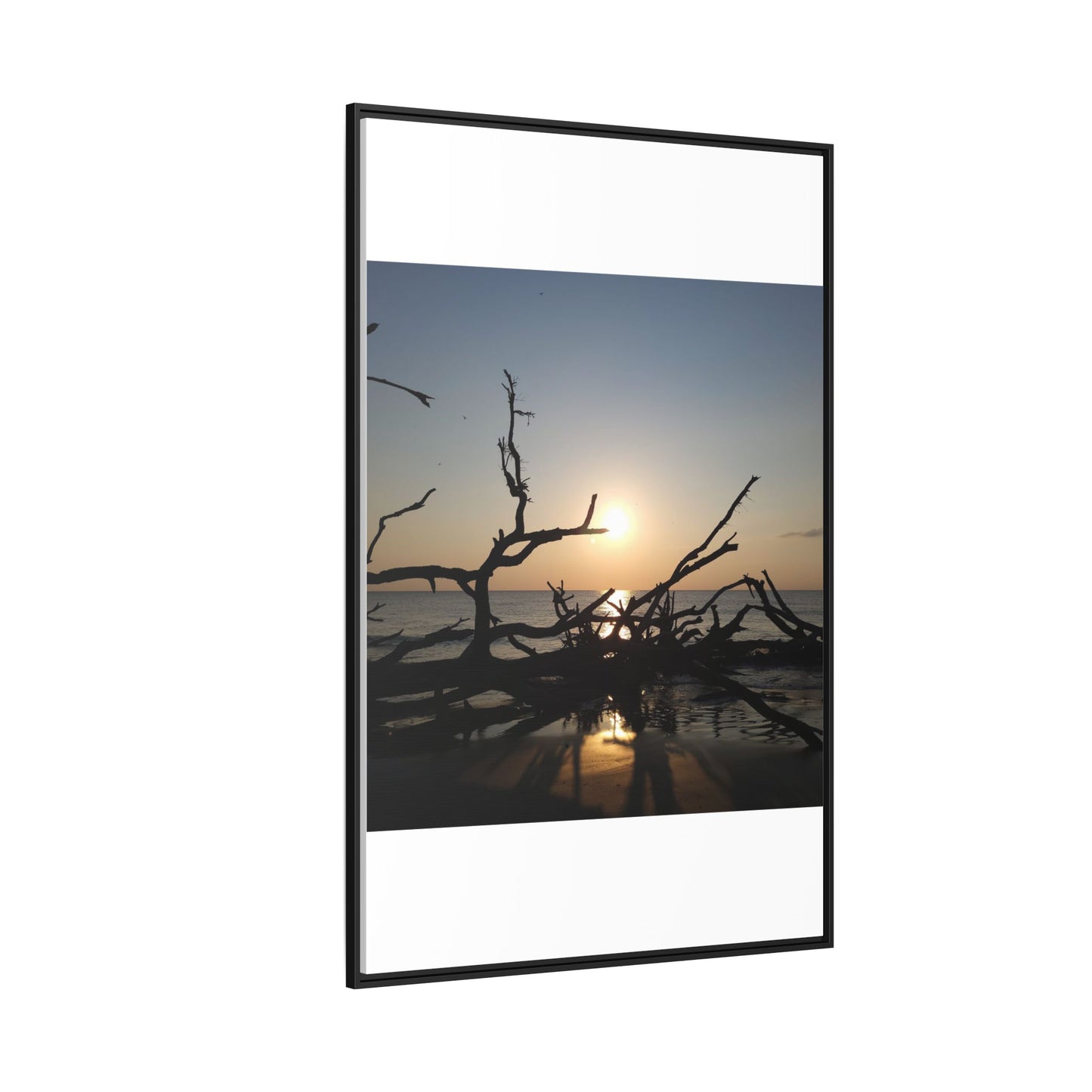 Sunset Driftwood Beach Framed Canvas