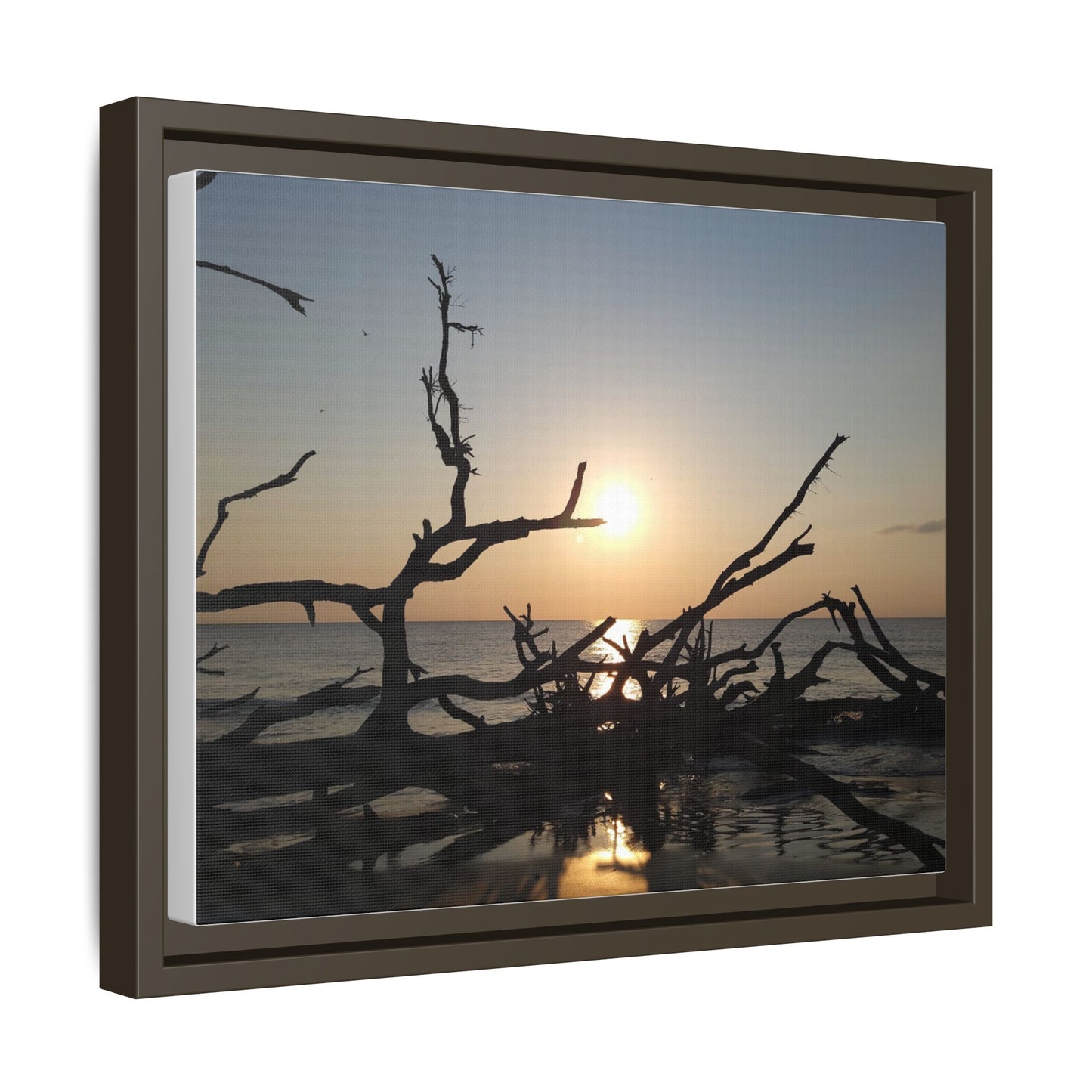 Sunset Driftwood Beach Framed Canvas