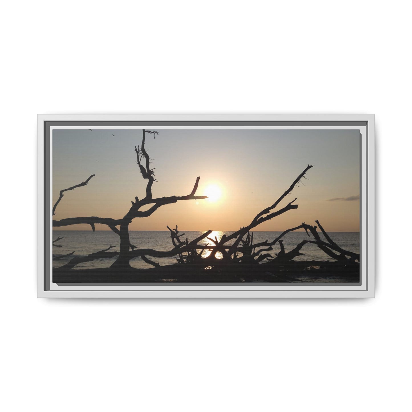 Sunset Driftwood Beach Framed Canvas