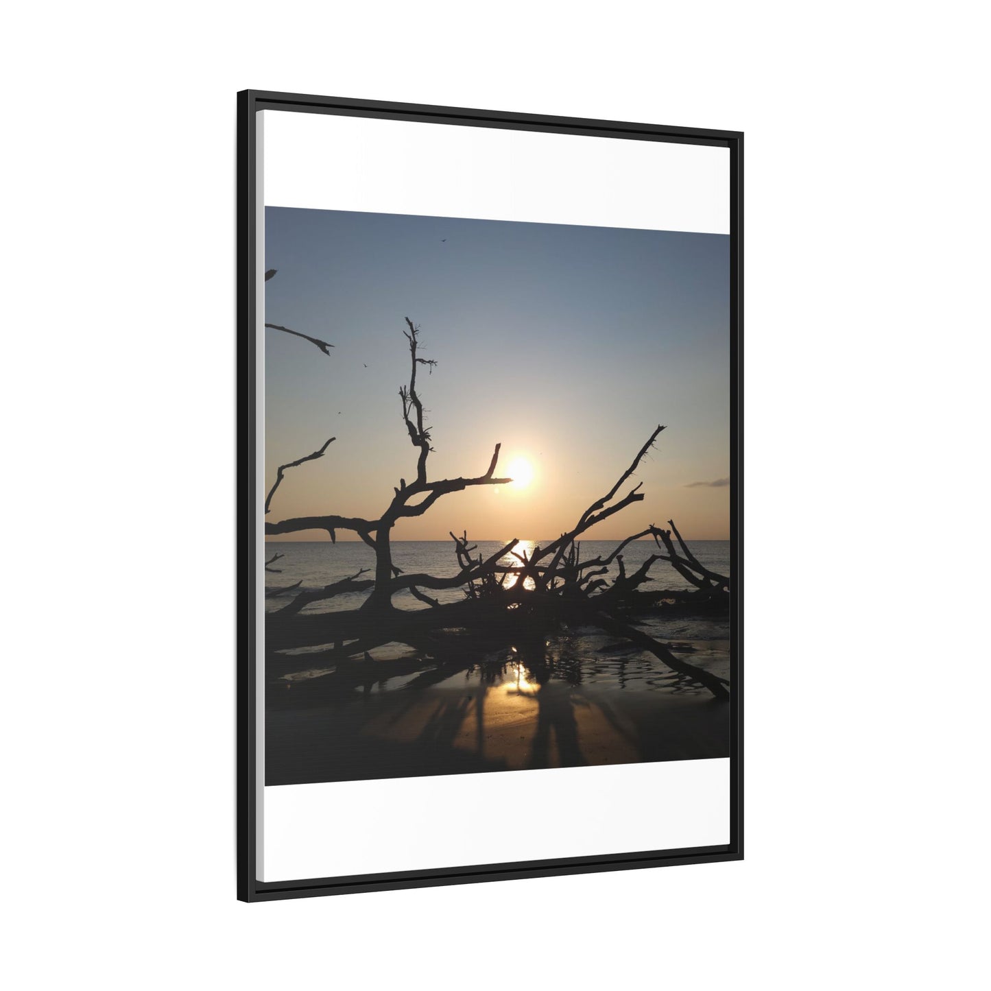 Sunset Driftwood Beach Framed Canvas