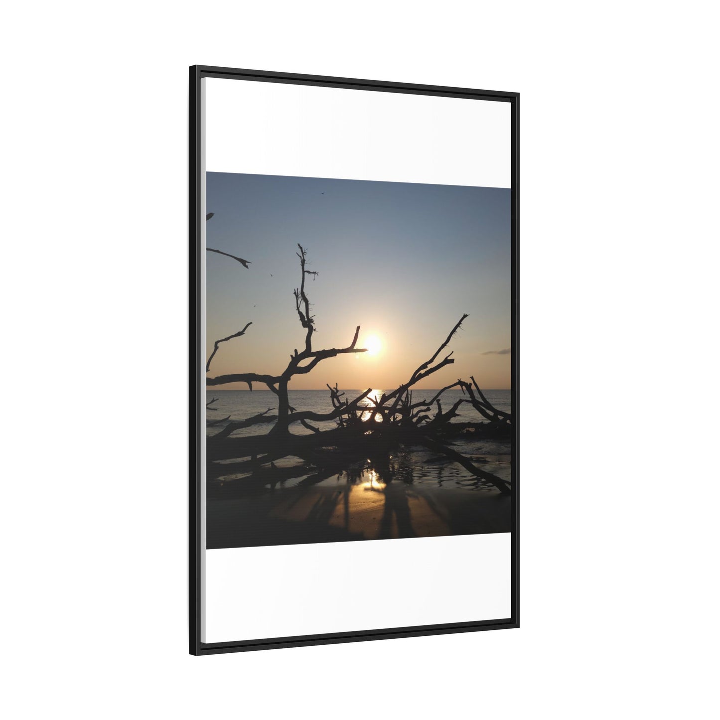 Sunset Driftwood Beach Framed Canvas