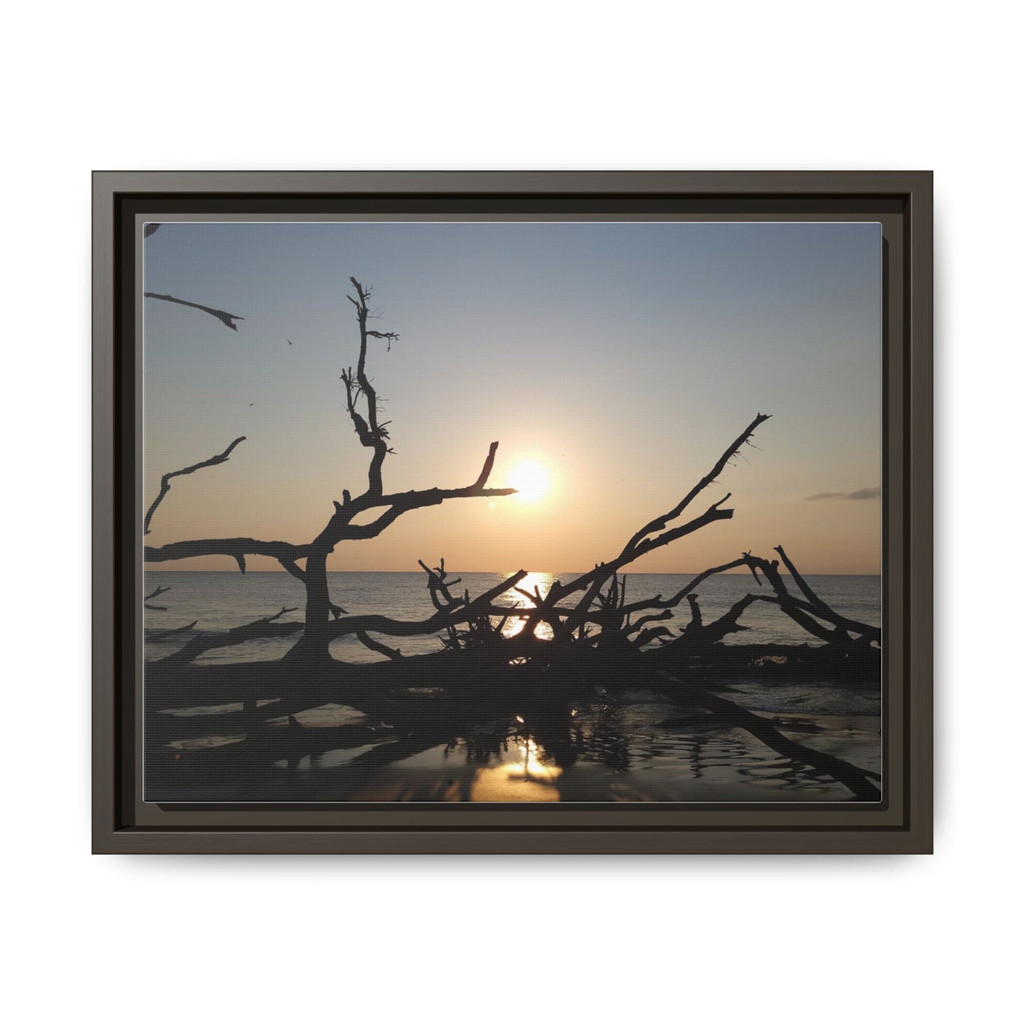 Sunset Driftwood Beach Framed Canvas