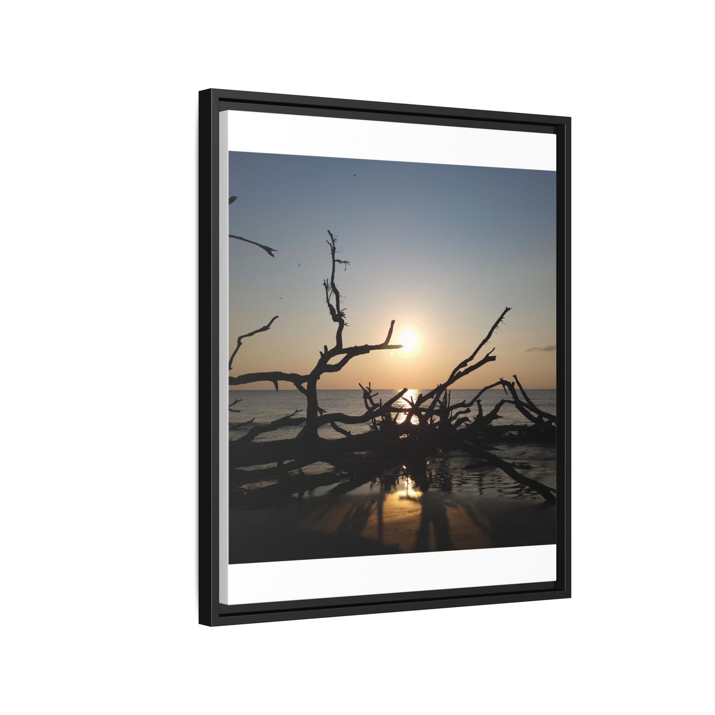 Sunset Driftwood Beach Framed Canvas