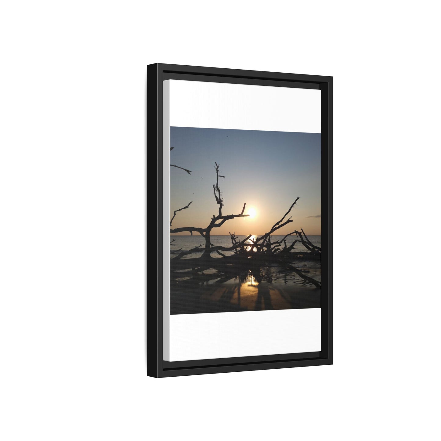 Sunset Driftwood Beach Framed Canvas