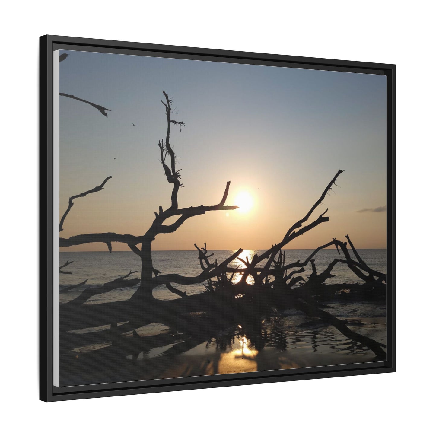 Sunset Driftwood Beach Framed Canvas