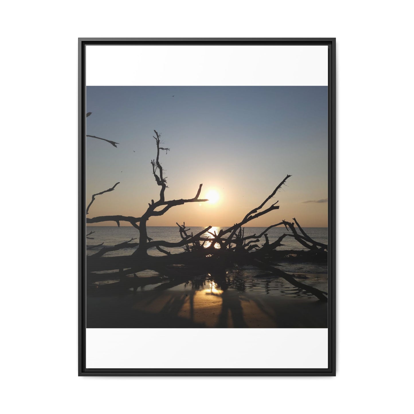 Sunset Driftwood Beach Framed Canvas