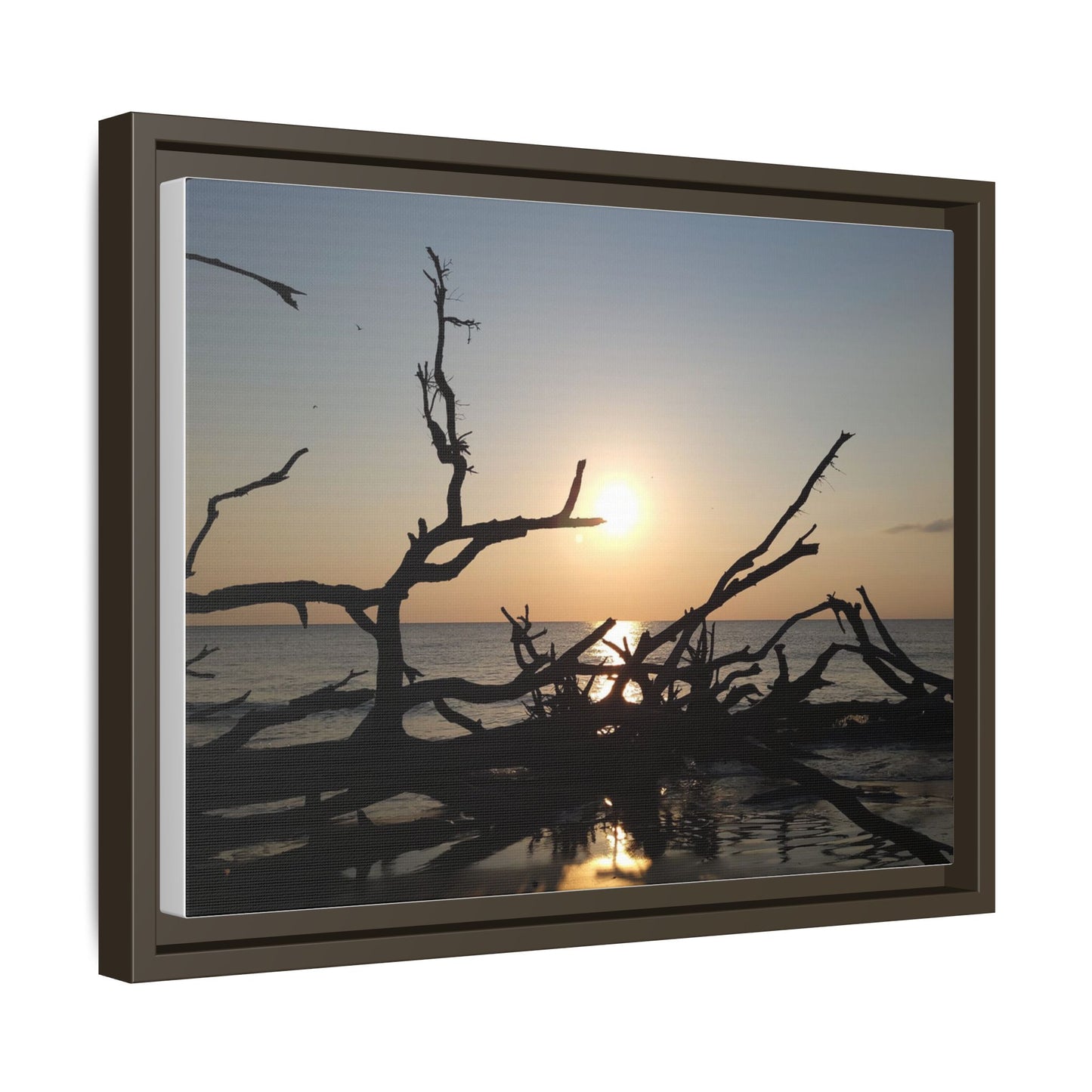 Sunset Driftwood Beach Framed Canvas