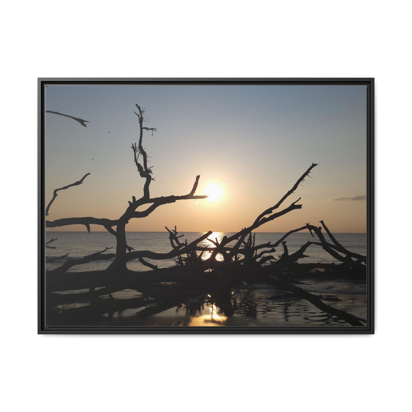 Sunset Driftwood Beach Framed Canvas