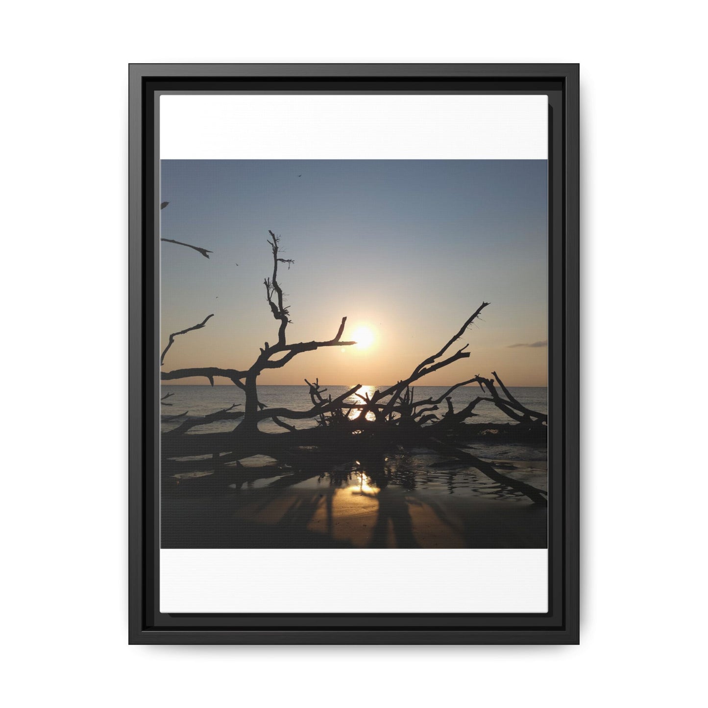 Sunset Driftwood Beach Framed Canvas