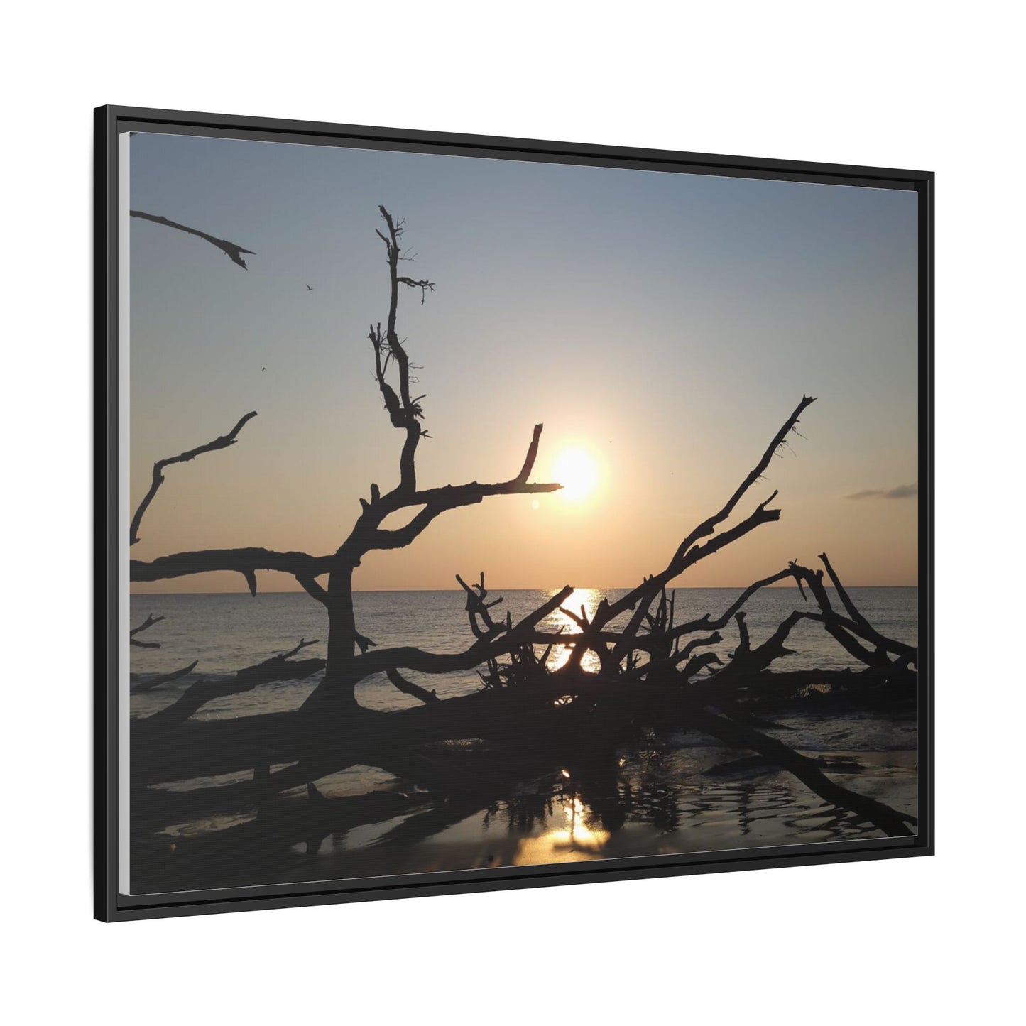 Sunset Driftwood Beach Framed Canvas