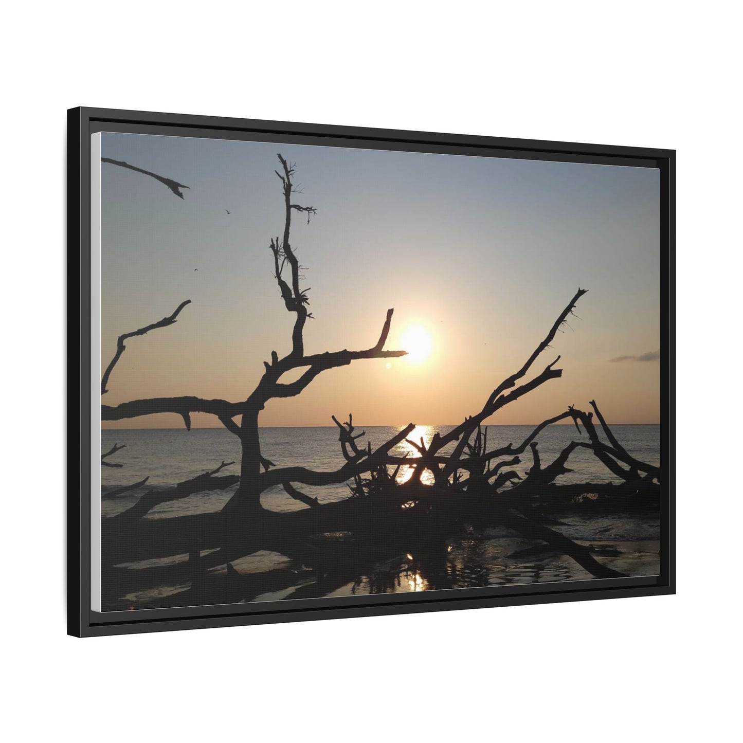 Sunset Driftwood Beach Framed Canvas