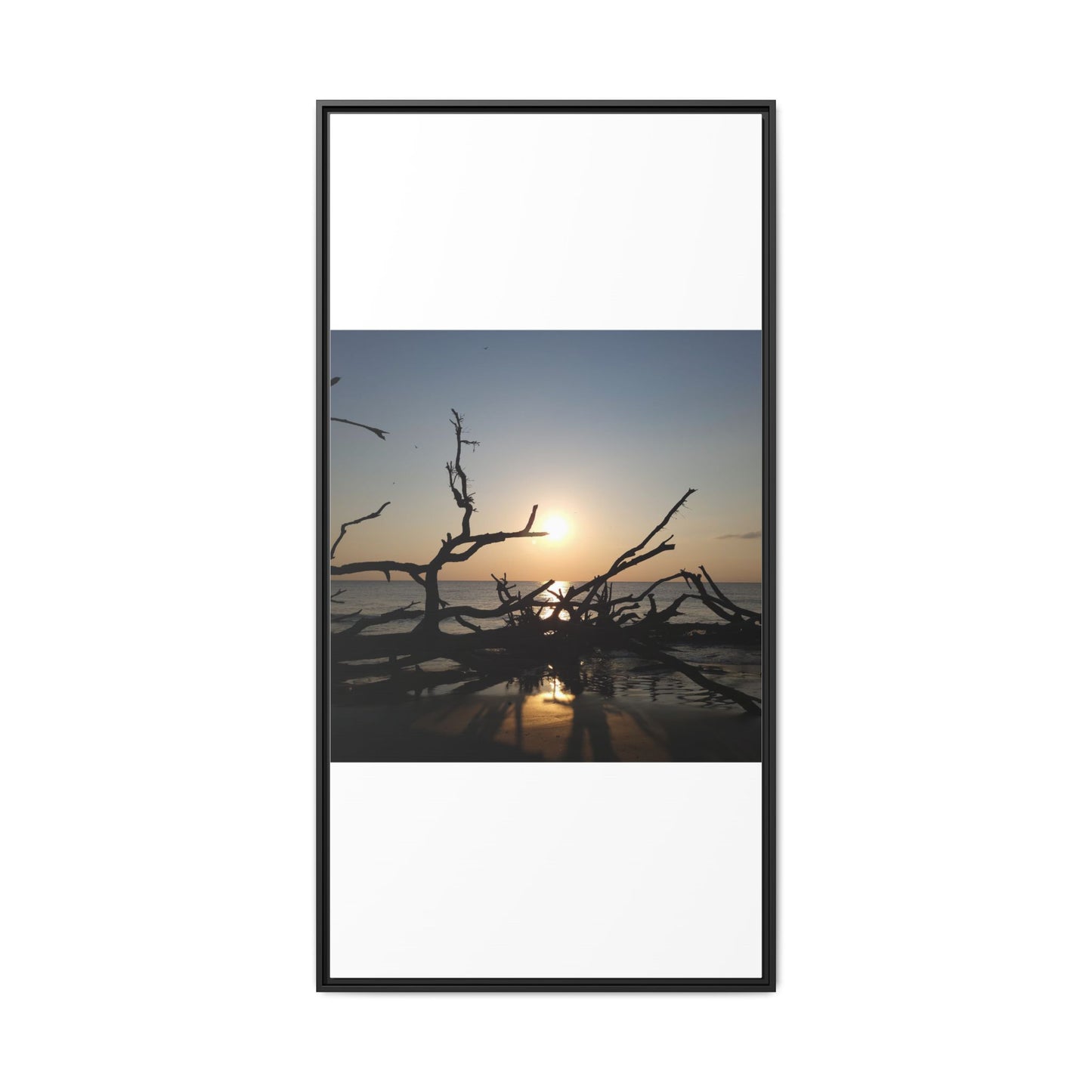 Sunset Driftwood Beach Framed Canvas