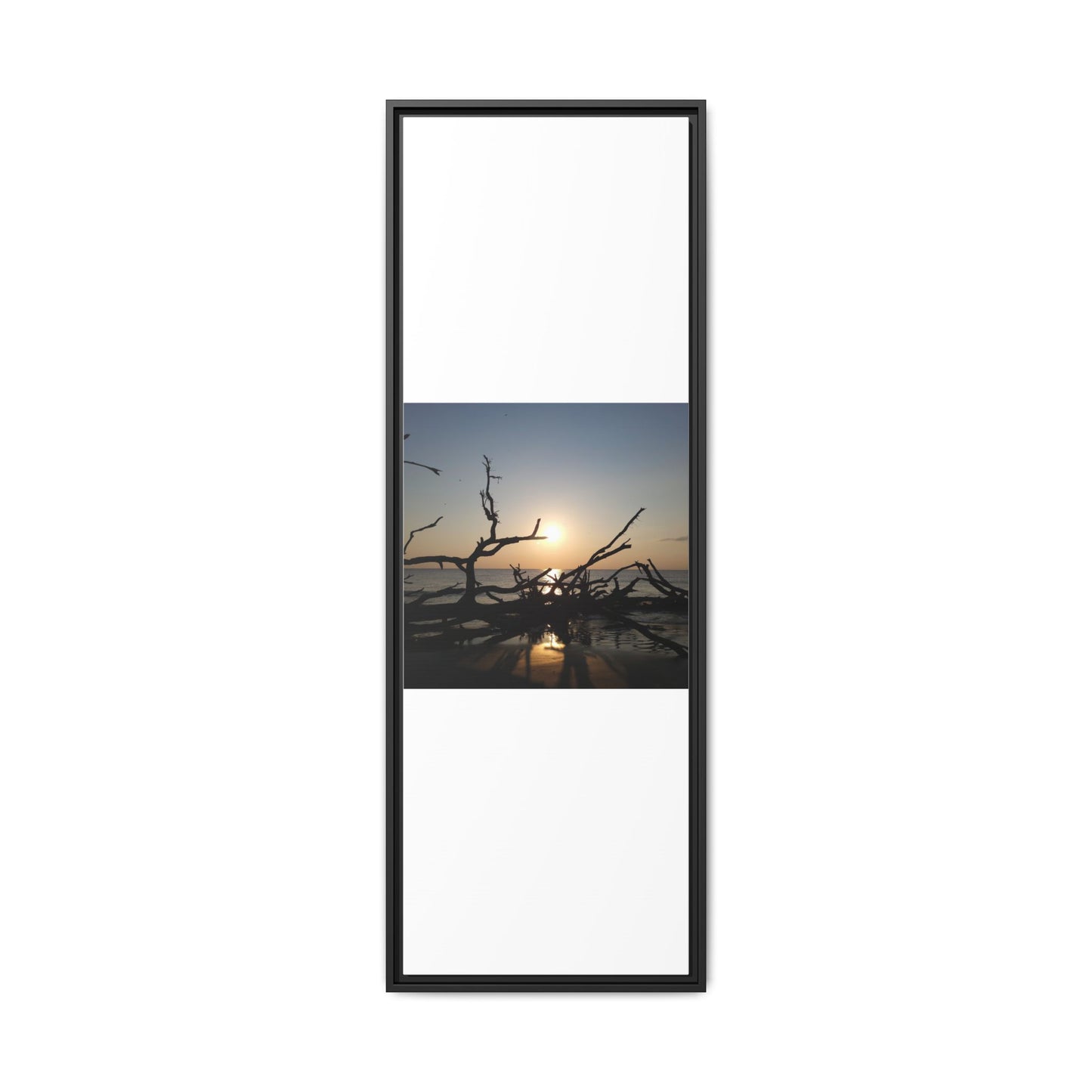 Sunset Driftwood Beach Framed Canvas