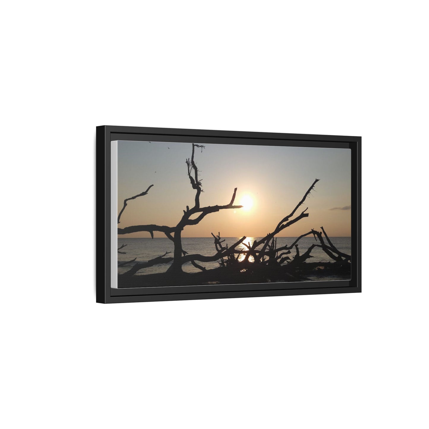 Sunset Driftwood Beach Framed Canvas