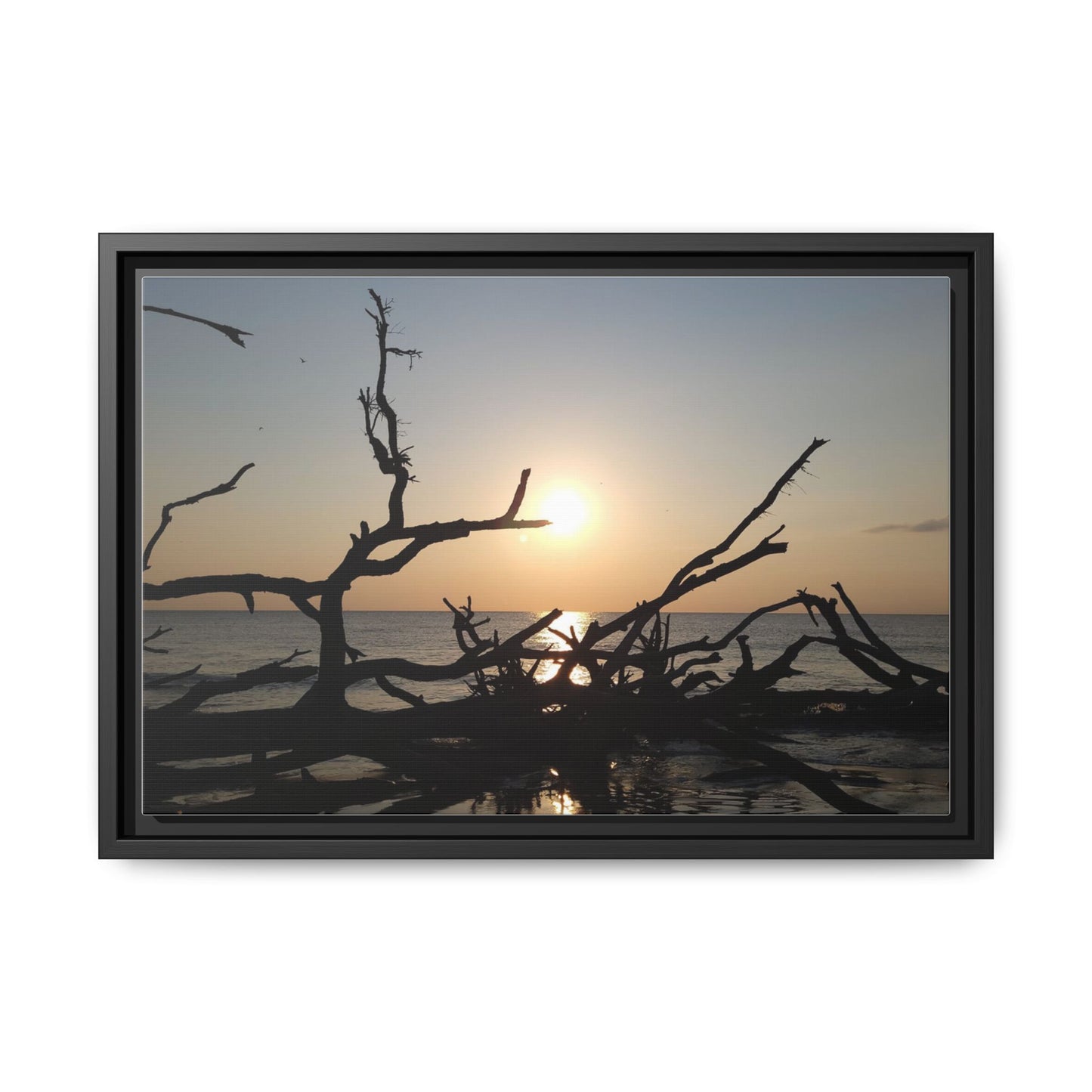 Sunset Driftwood Beach Framed Canvas