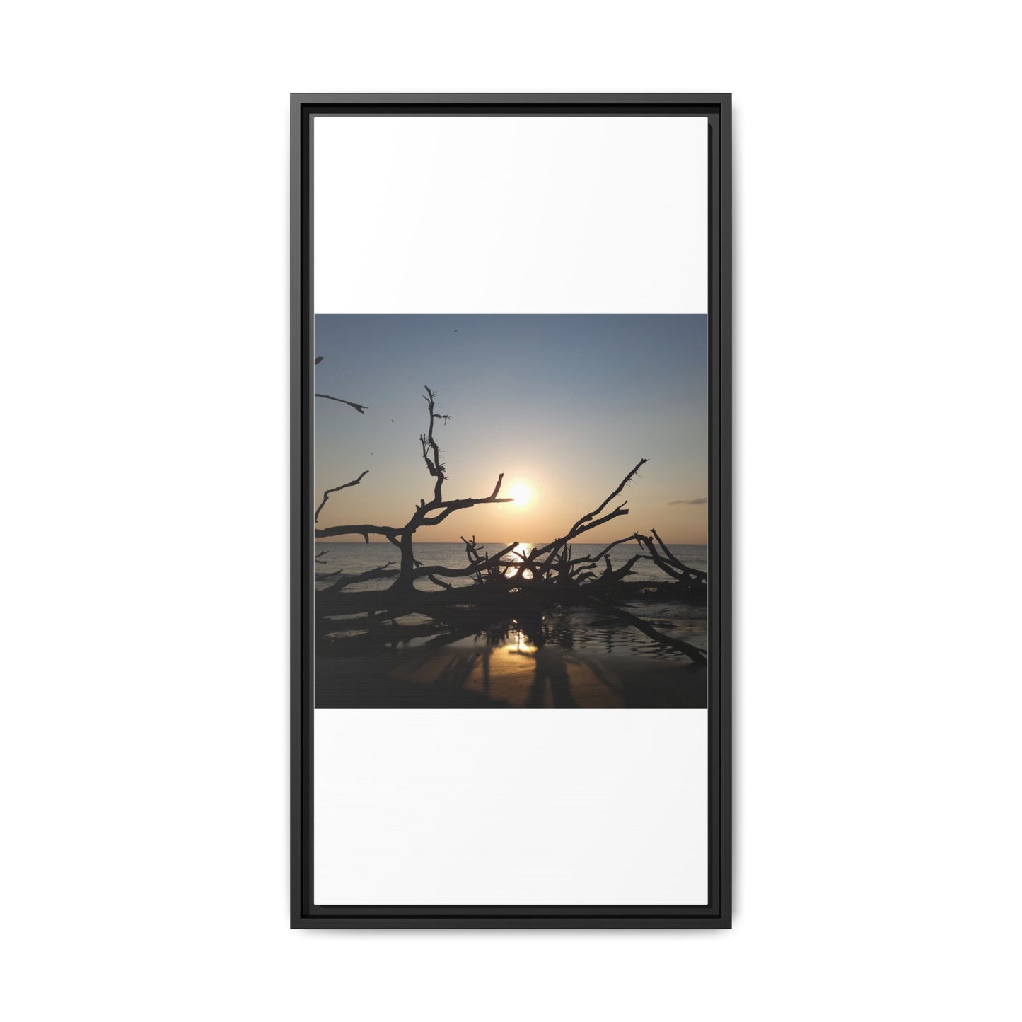 Sunset Driftwood Beach Framed Canvas