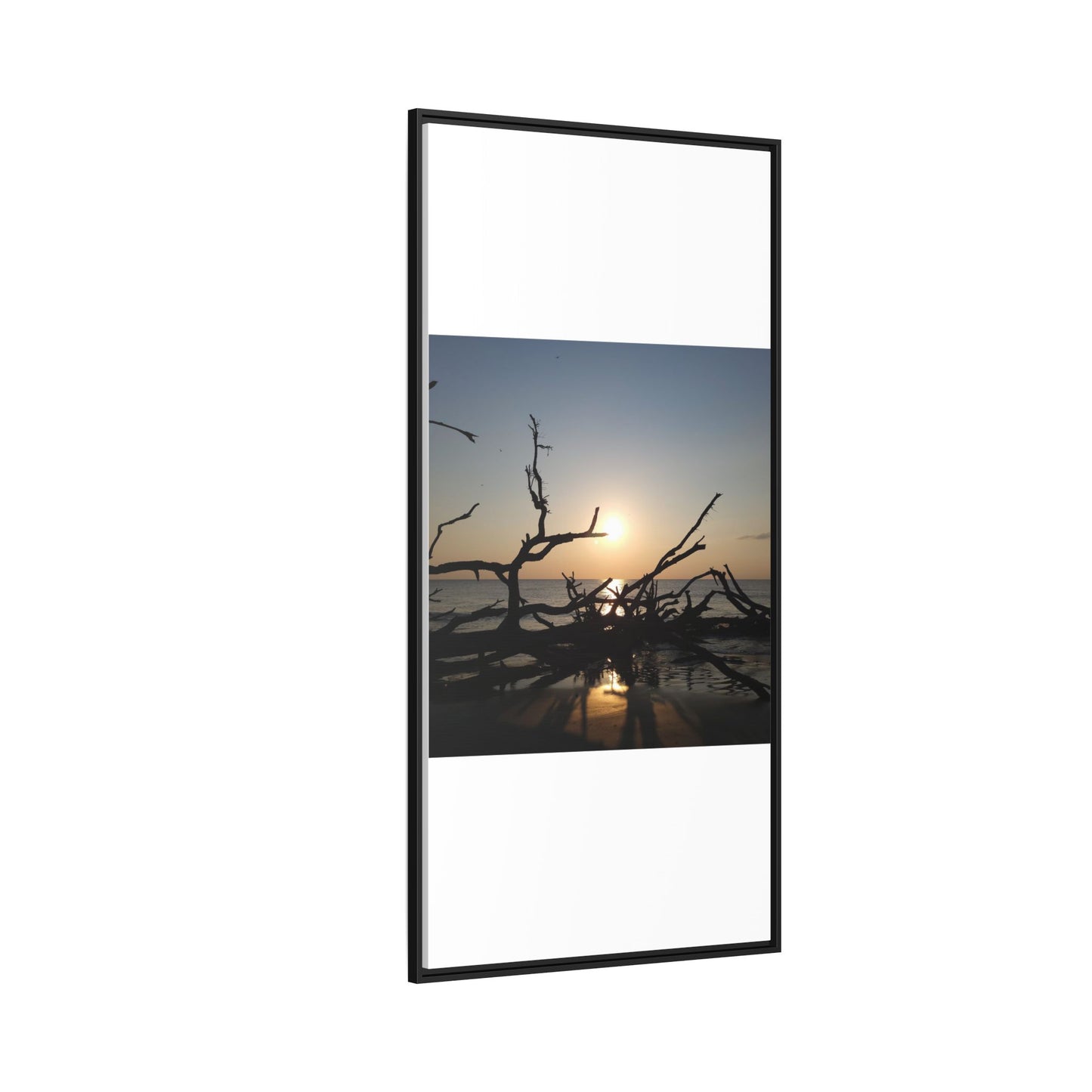 Sunset Driftwood Beach Framed Canvas