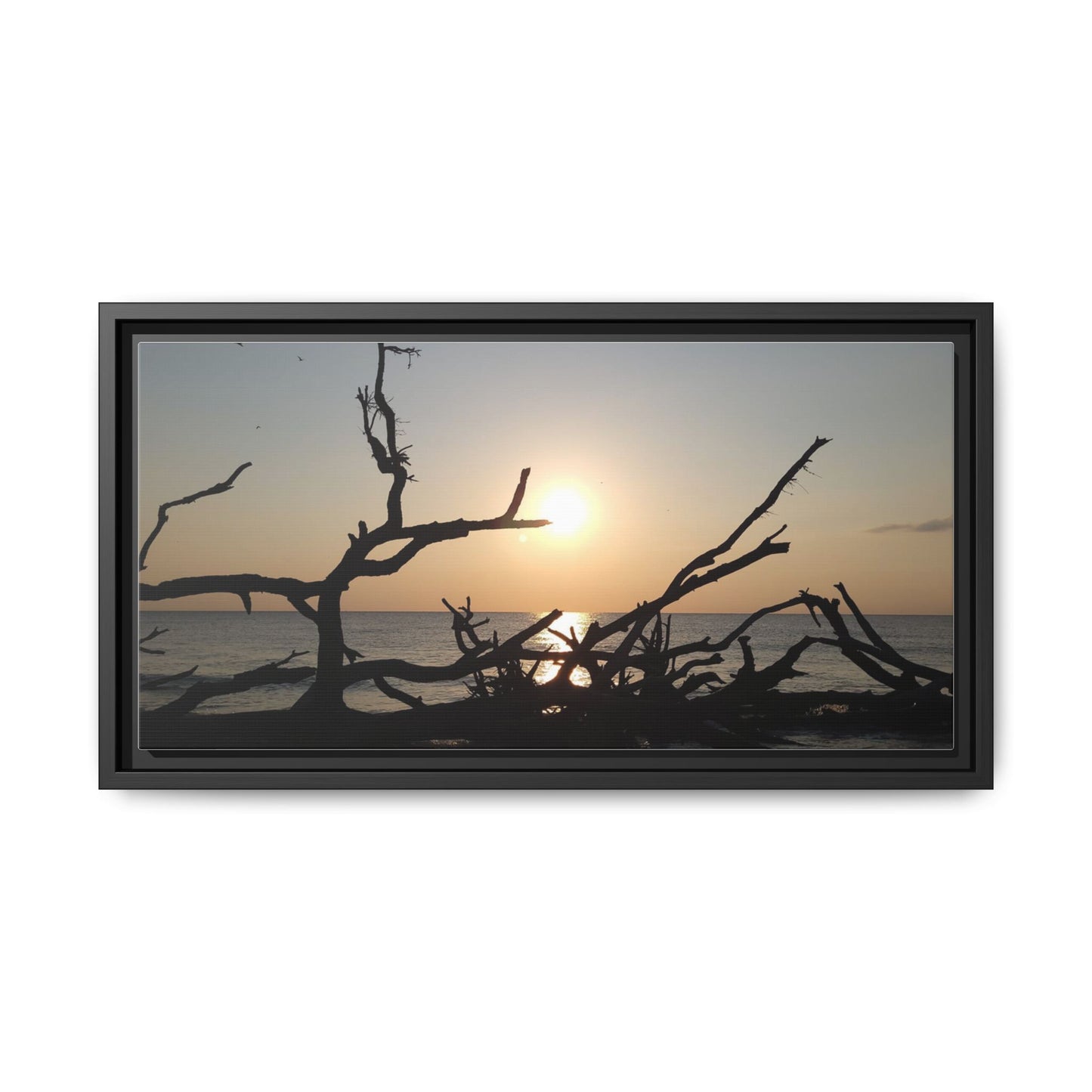 Sunset Driftwood Beach Framed Canvas