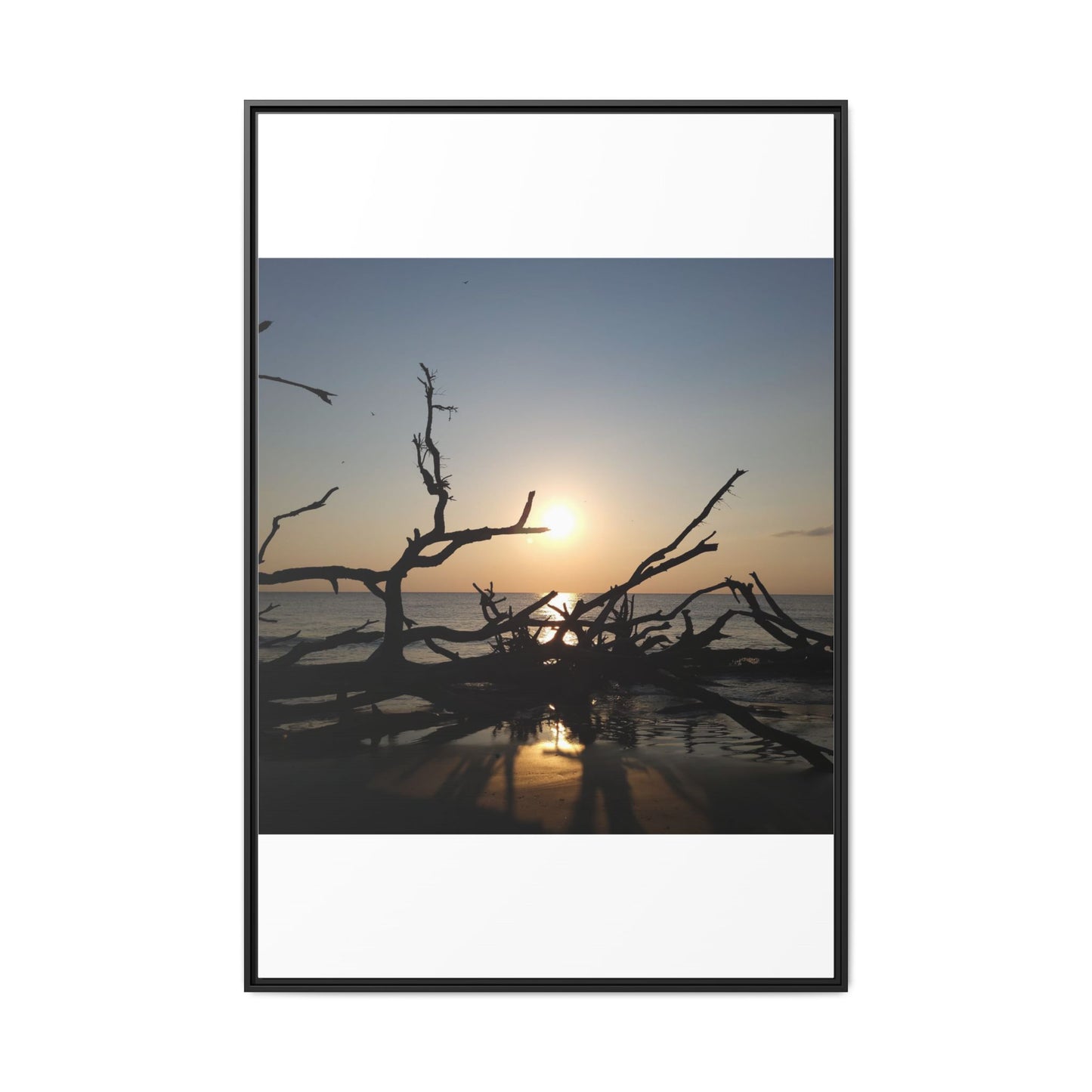 Sunset Driftwood Beach Framed Canvas