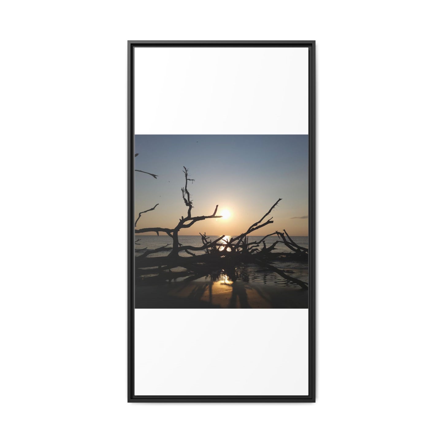 Sunset Driftwood Beach Framed Canvas