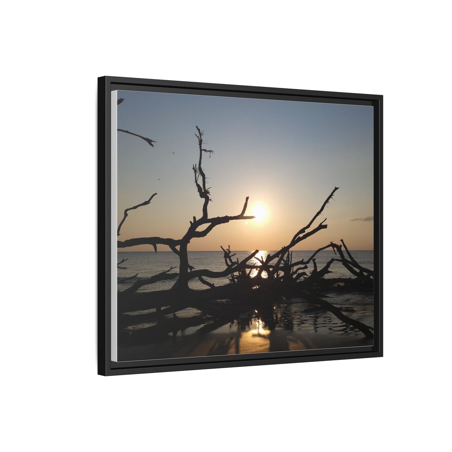 Sunset Driftwood Beach Framed Canvas