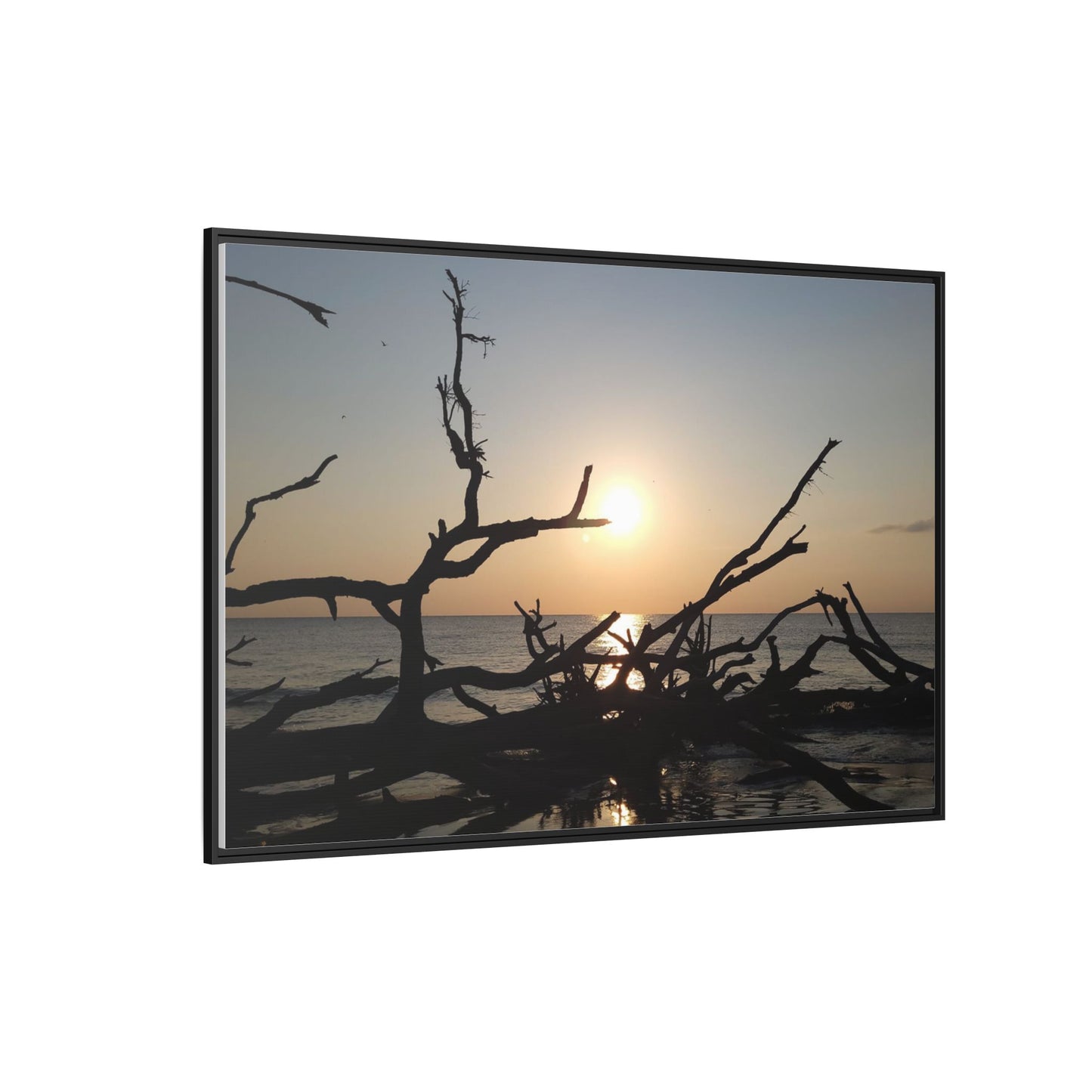 Sunset Driftwood Beach Framed Canvas